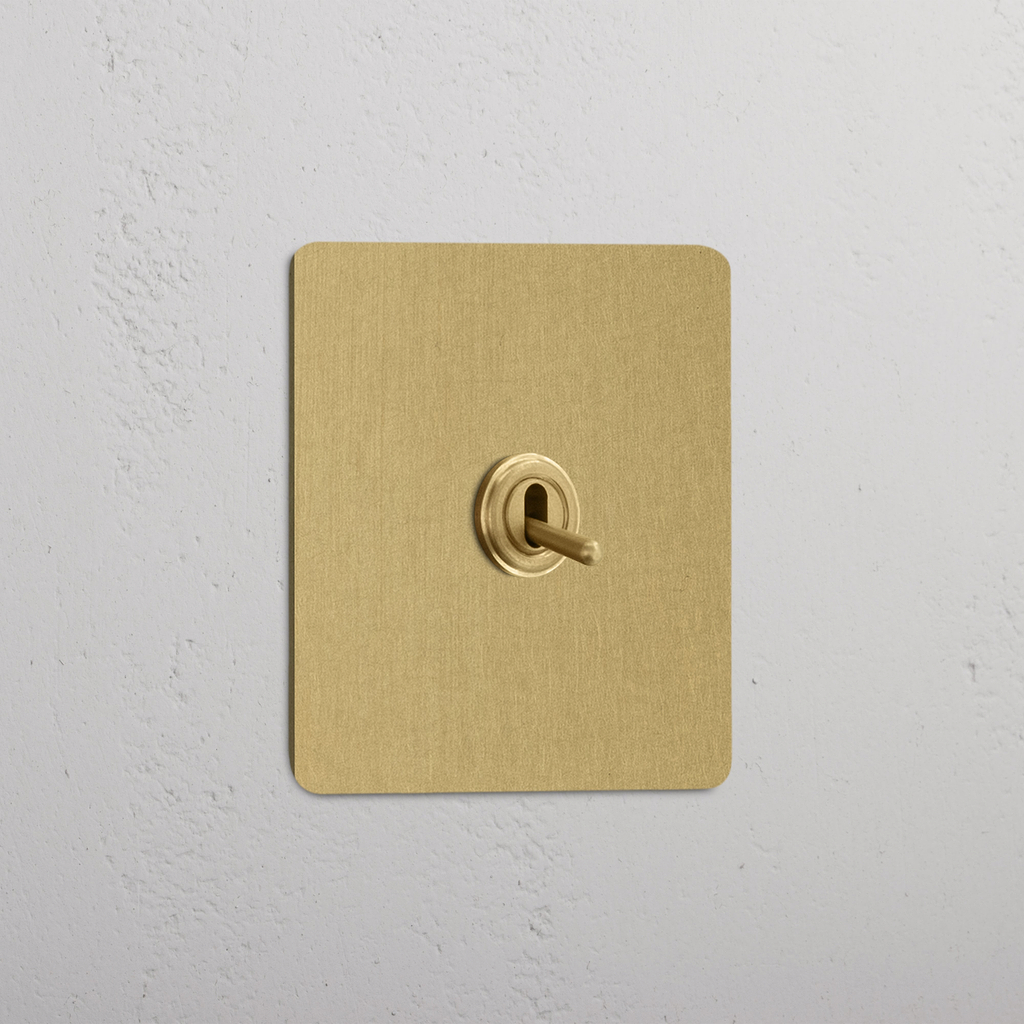 Intermediate Single Toggle Switch in Antique Brass - Stylish Design