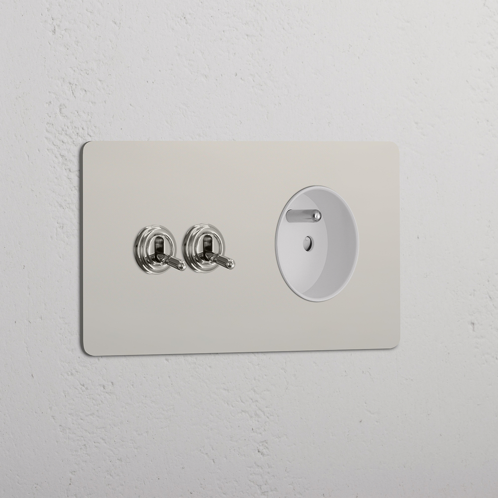 Interrupteur VV à Levier x2 & Prise de Courant Ronde Type E (Plaque Double) - Nickel Poli (Insert Blanc)
