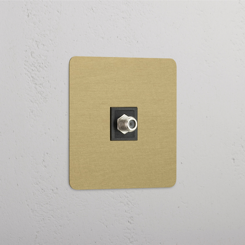 Single Satellite Module in Antique Brass Black