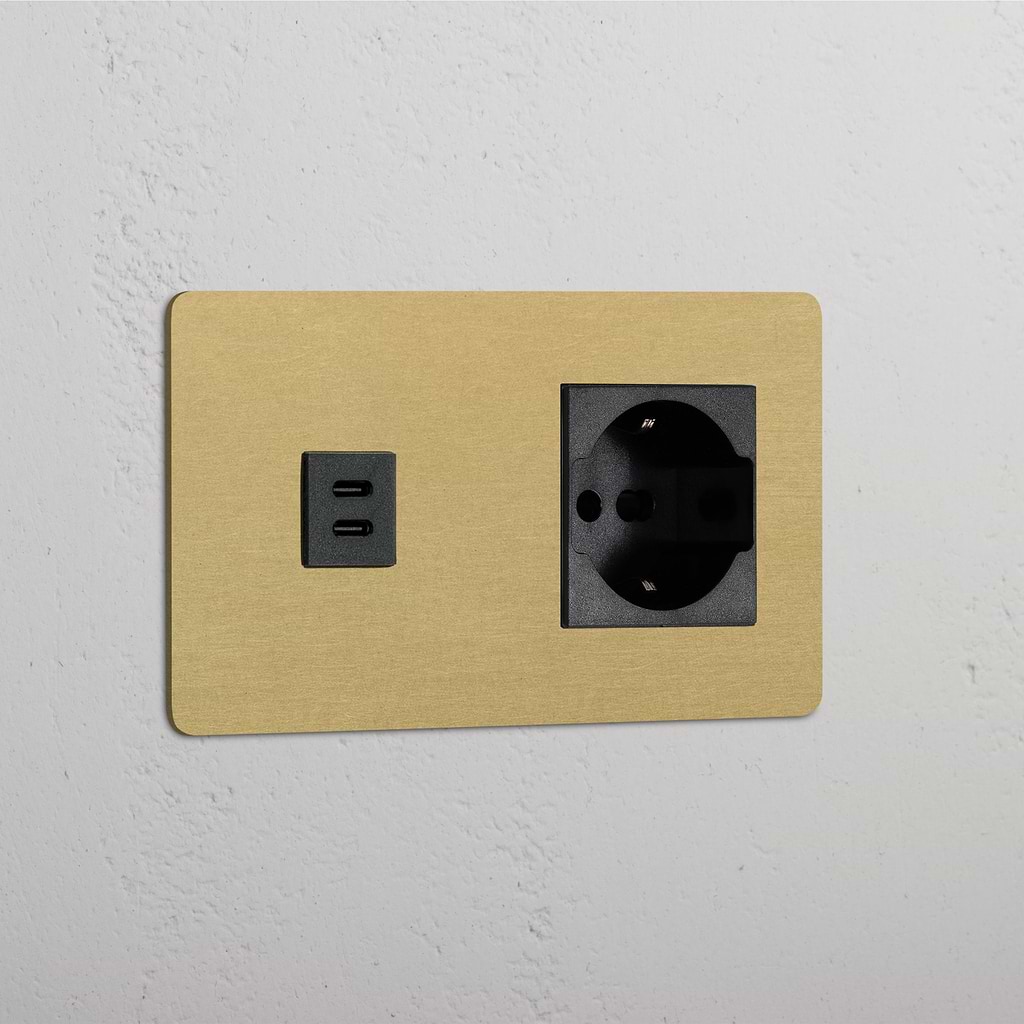 Modulo Doppio USB 30W & Schuko/Bipasso in Ottone Antico Nero