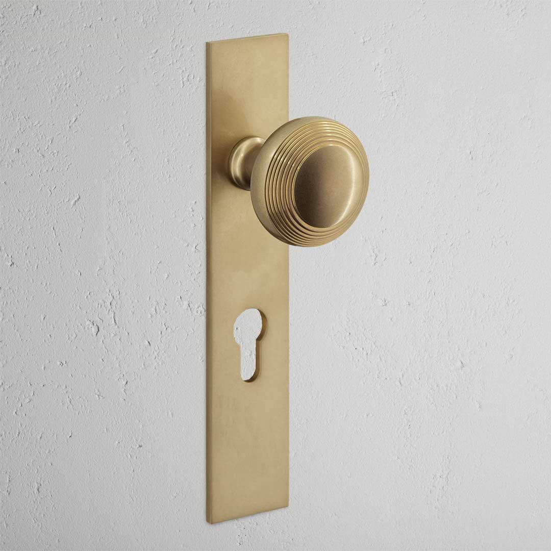 Poplar Pomello Porta con Placca Lunga e Serratura Euro - Ottone Antico