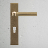Harper Maniglia con Placca Lunga e Serratura Euro - Ottone Antico