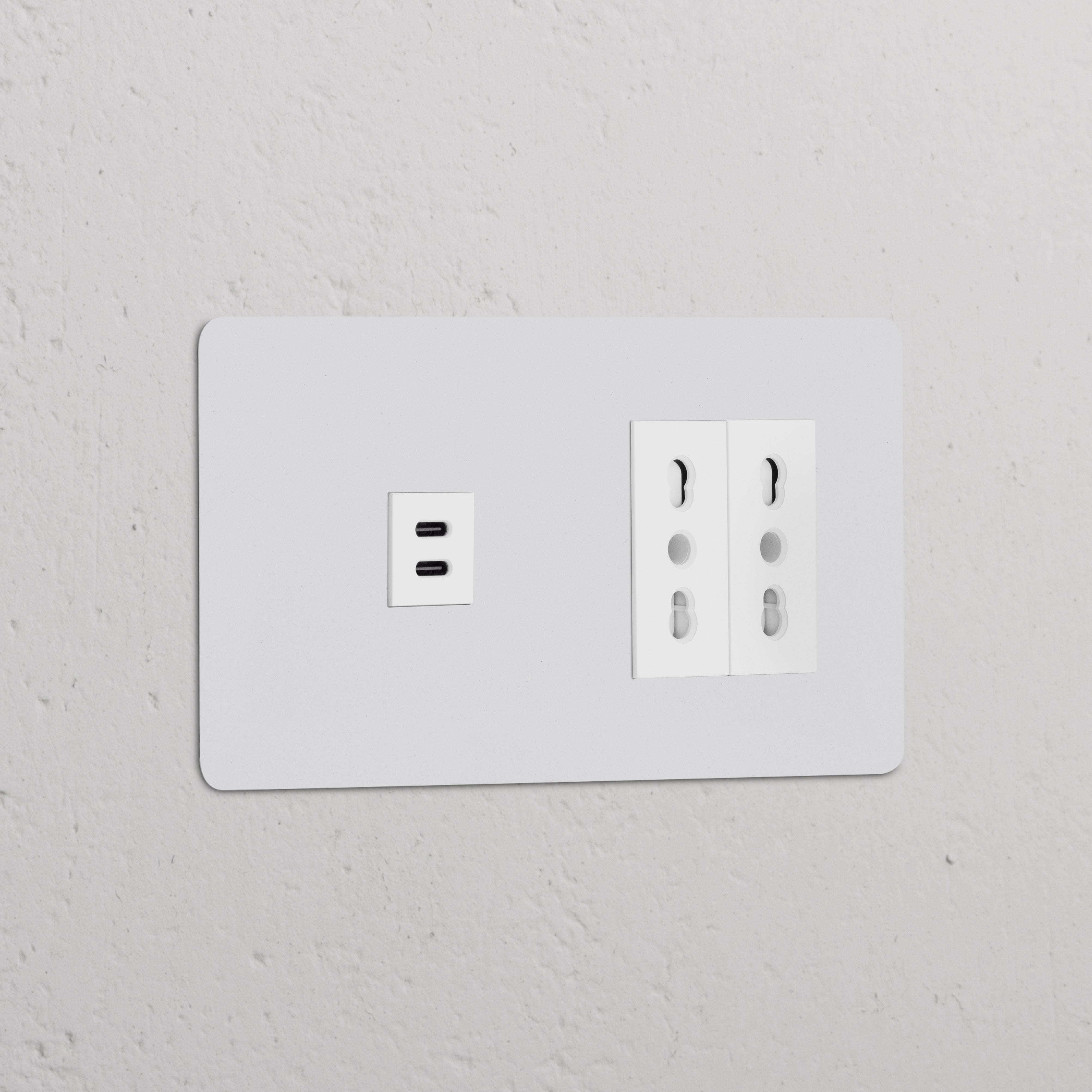 Modulo USB 30W + Modulo Bipasso 2x - Verniciabile Bianco: Doppia presa di corrente con prese USB e standard.