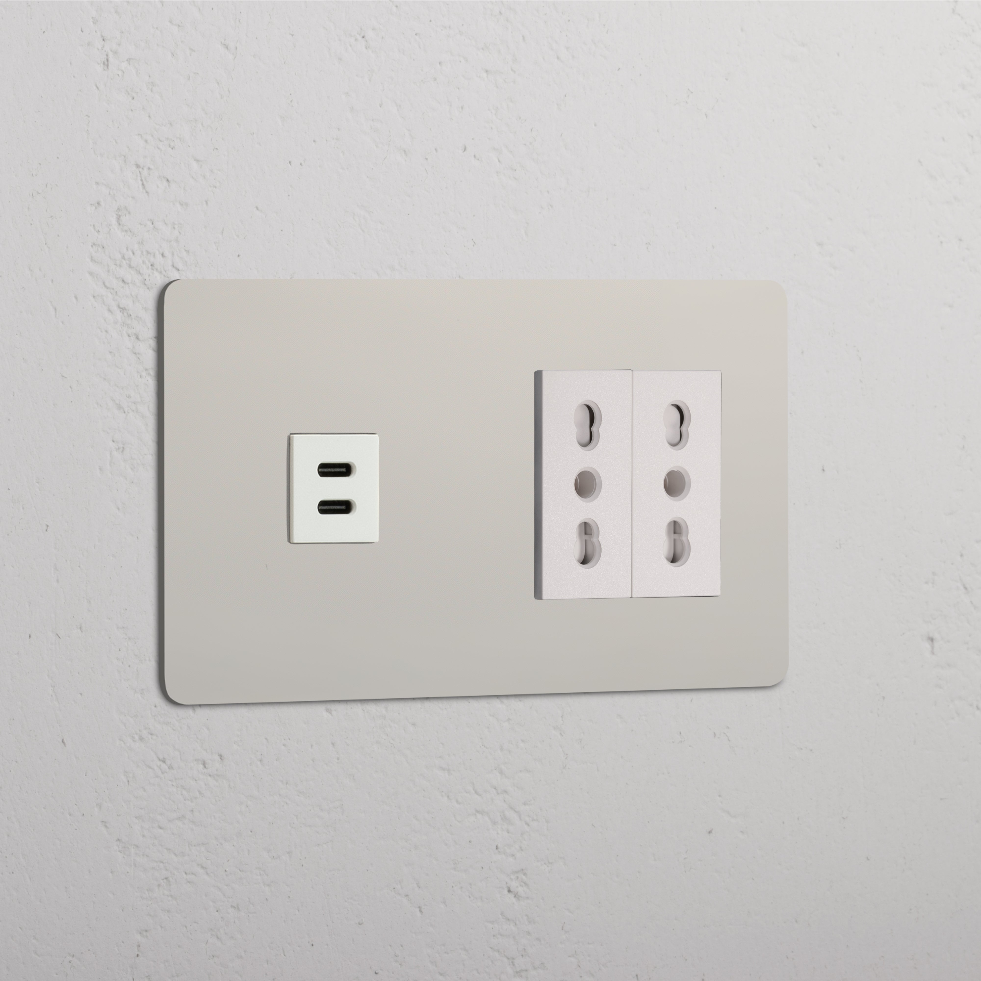 Modulo Doppio USB 30W & 2x Bipasso in Nichel Lucido Bianco
