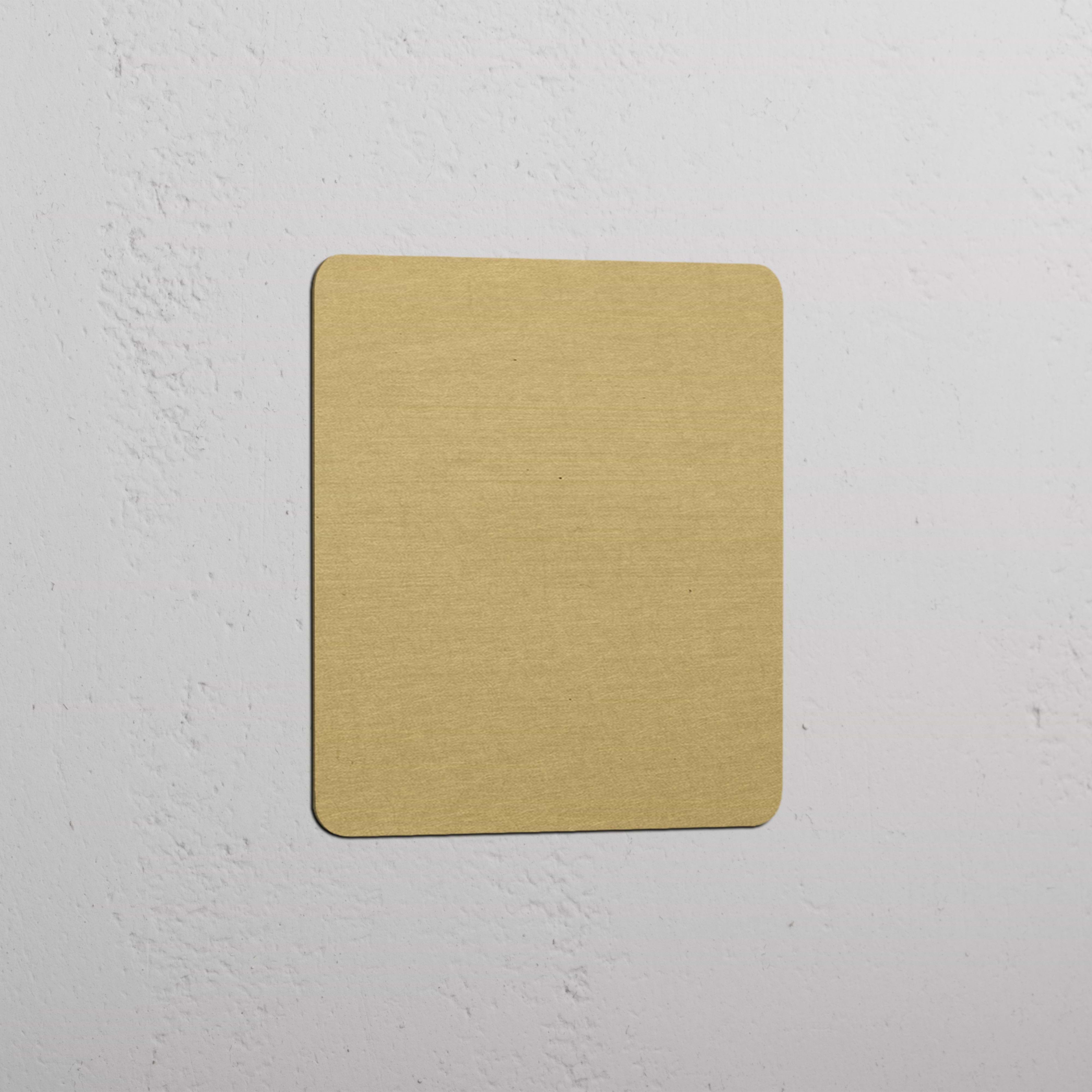 Placca Vuota in Design Singolo con Finitura in Ottone Antico