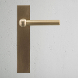 Harper Maniglia con Placca Lunga con Molla - Ottone Antico