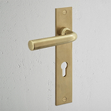 Apsley Maniglia per porta con placca lunga, molla e serratura Euro – Ottone Antico