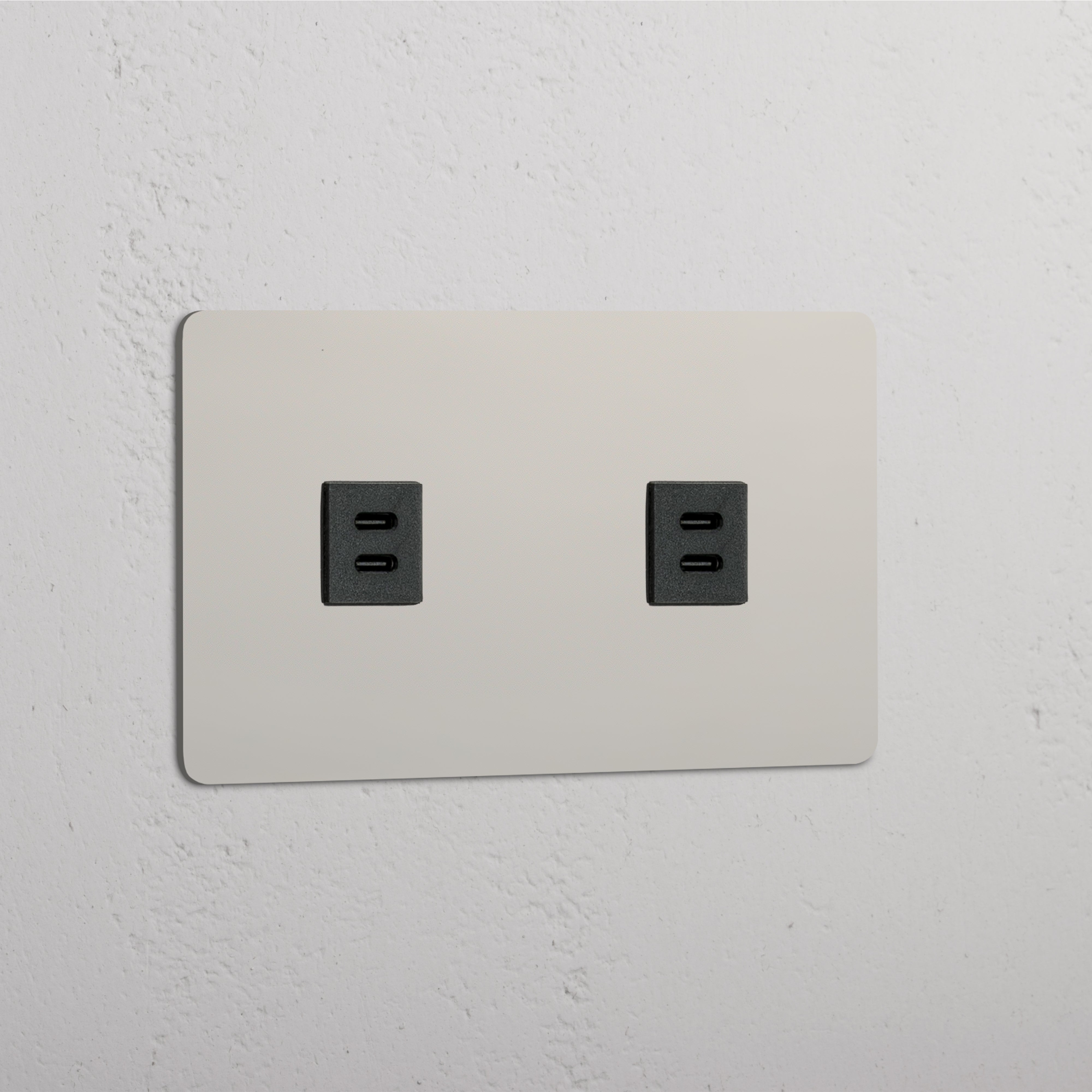 Modulo di Alimentazione USB Doppio in Nichel Lucido Nero - Accessorio di Ricarica USB Doppio