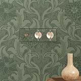 Triplo Modulo Levetta & 2x Schuko Tondo - Trasparente Ottone Antico Bianco
