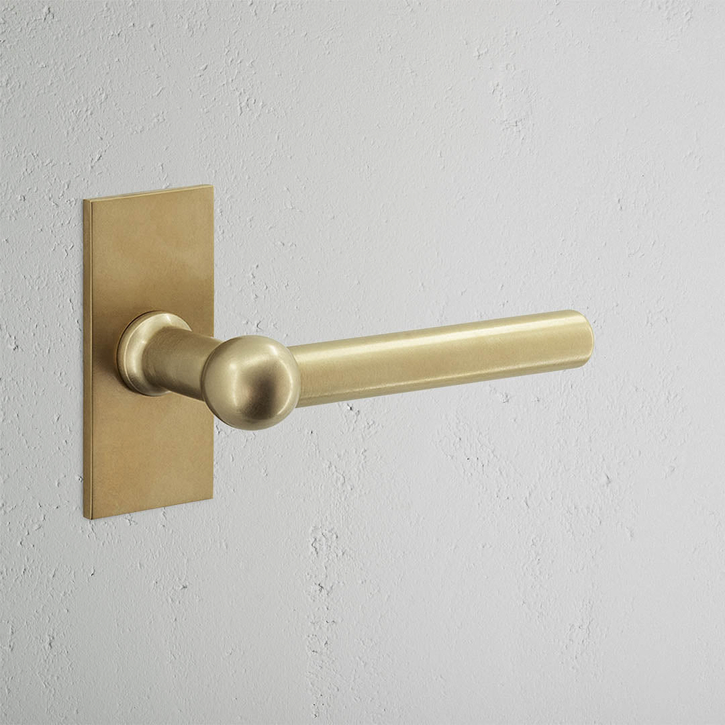 Harper Maniglia con Placca Corta e Molla - Ottone Antico
