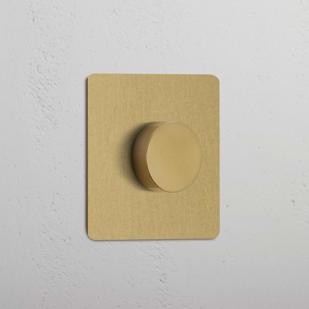 Interruttore per Dimmer Singolo in Ottone Antico per Controllo Luminoso Facile