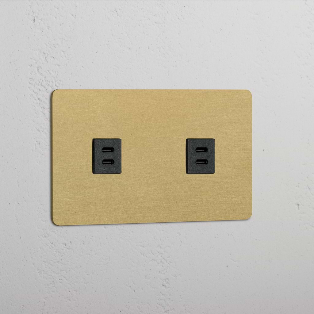 Double 2x USB Module - Antique Brass Black