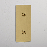 Double 2x Vertical Toggle Switch - Antique Brass