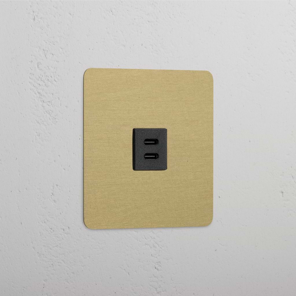 Single USB 30W Module - Antique Brass Black