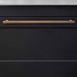 Antique Brass Milliner Handle on Black Furniture