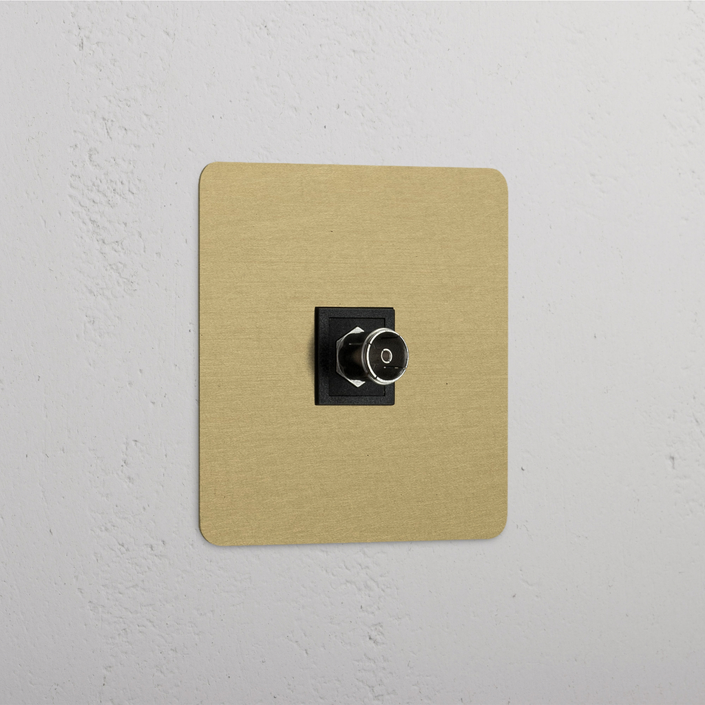 Single TV Module - Antique Brass Black