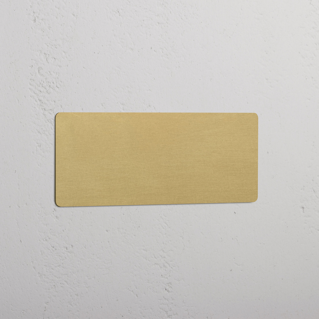 Triple Blank Plate - Antique Brass