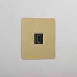 Single HDMI Module - Antique Brass Black