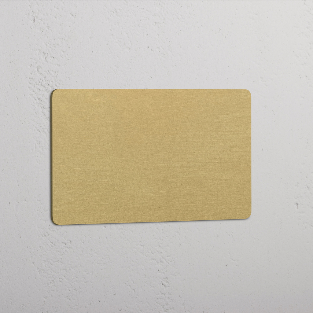 Double Blank Plate - Antique Brass