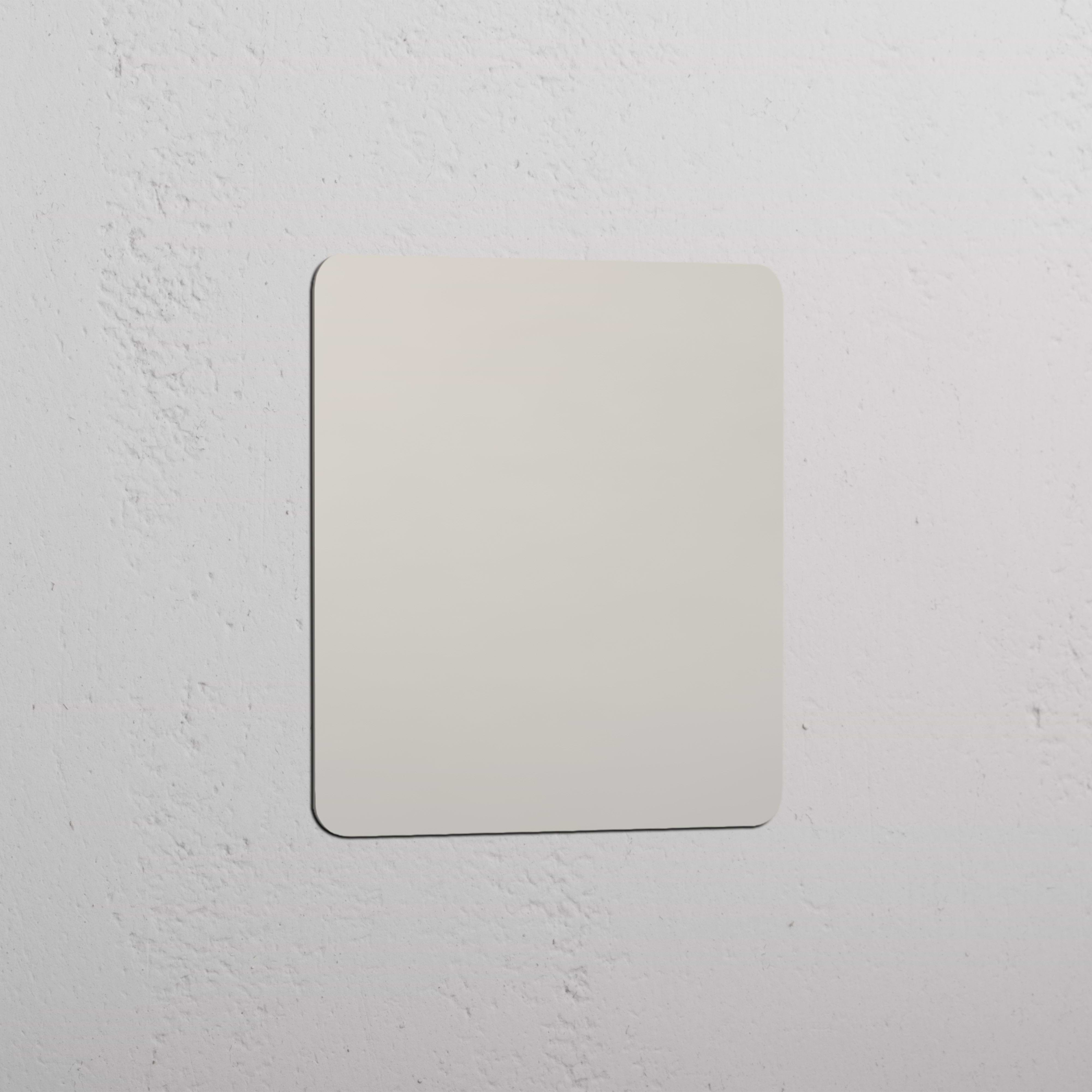 Single Blank Plate - Polished Nickel