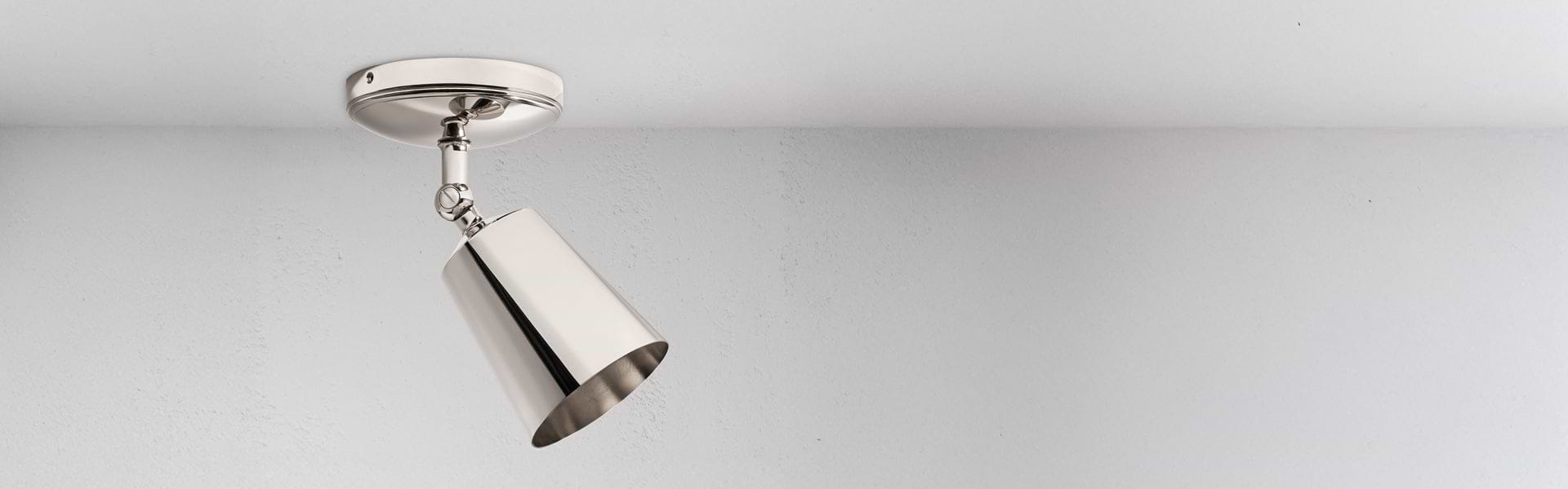 Polished nickel spotlights