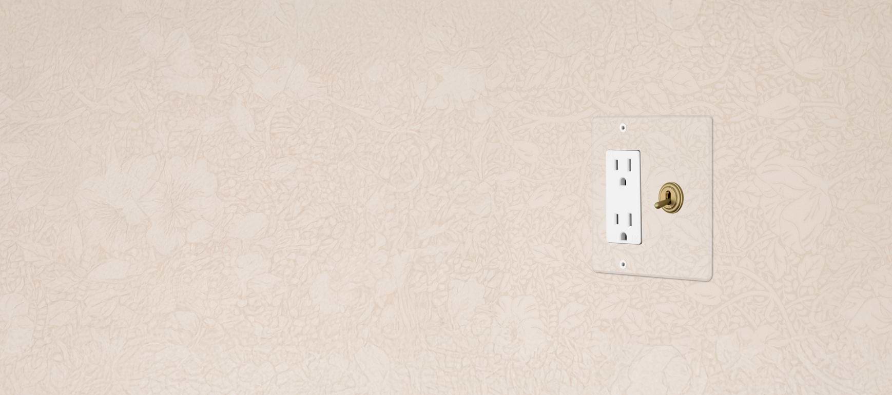A white electrical outlet with two sockets and a brass light switch on a textured light beige wall with a floral pattern.