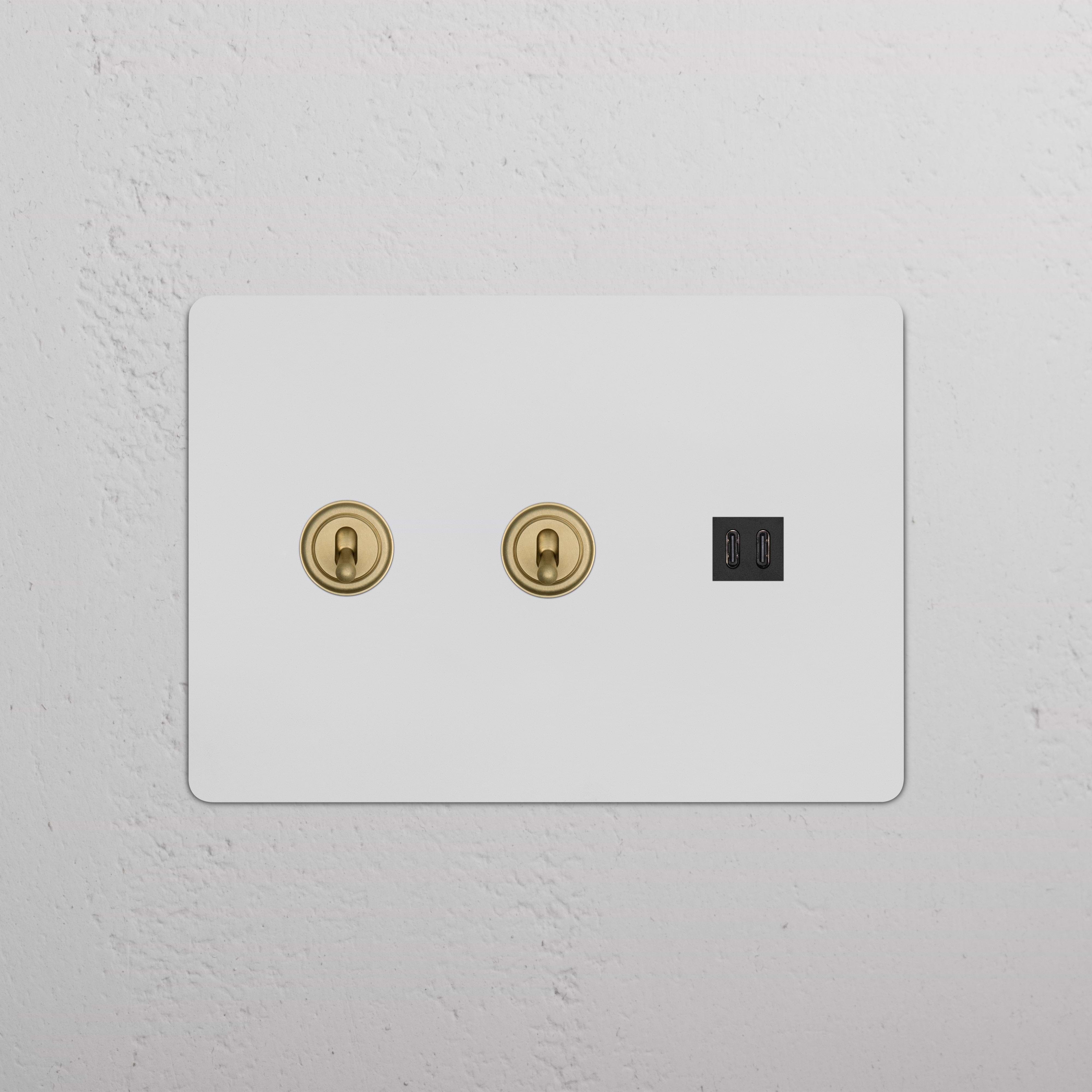 Kew 3G 2x Toggle Switch & Fast Charge USB in paintable antique brass black with two toggles and dual USB ports.