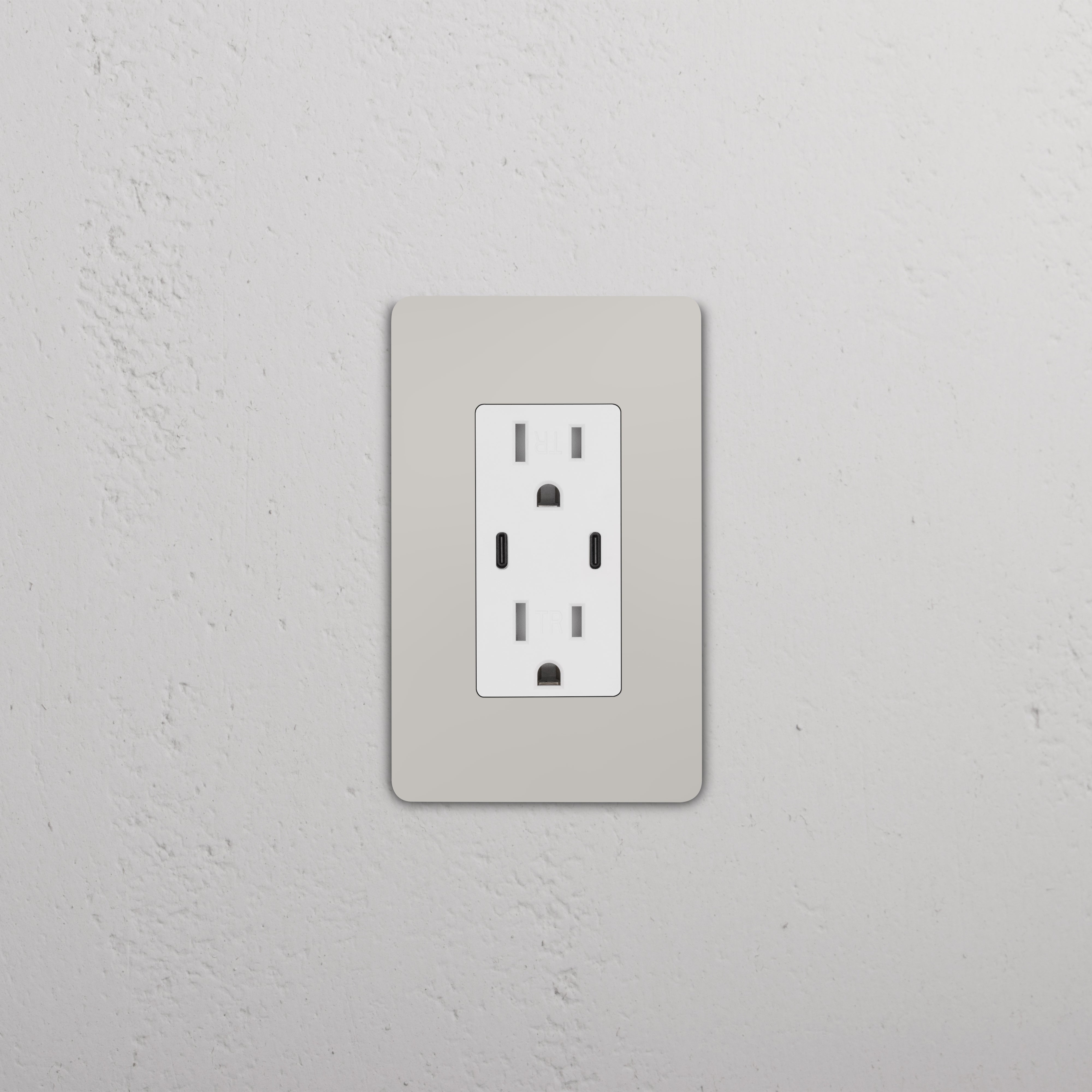 Grove 1G 15A USB Outlet in Polished Nickel White, featuring two power sockets and integrated USB ports.