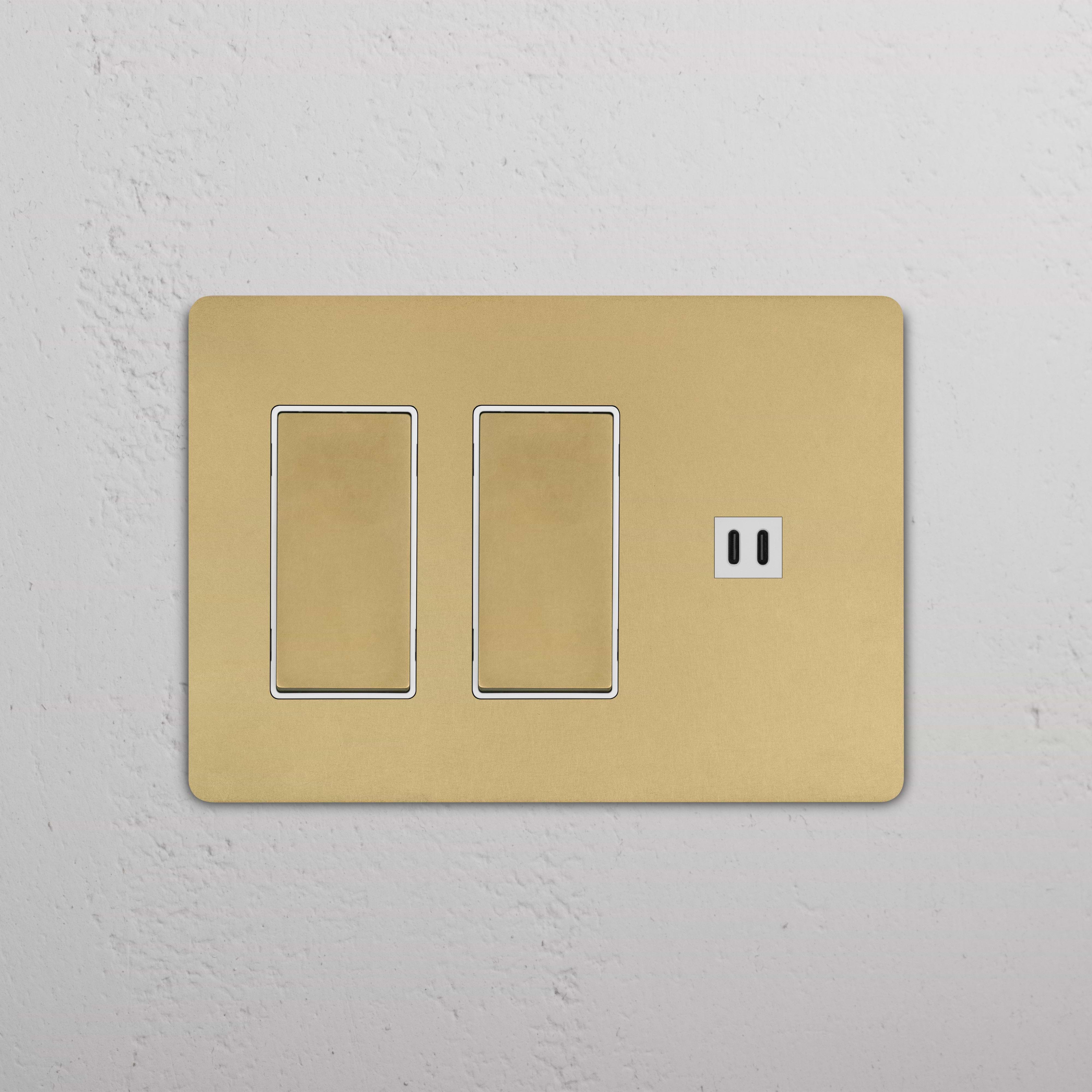 Grove 3G 2x Rocker Switch & Fast Charge USB in Antique Brass White with two switches and USB port on wall plate.