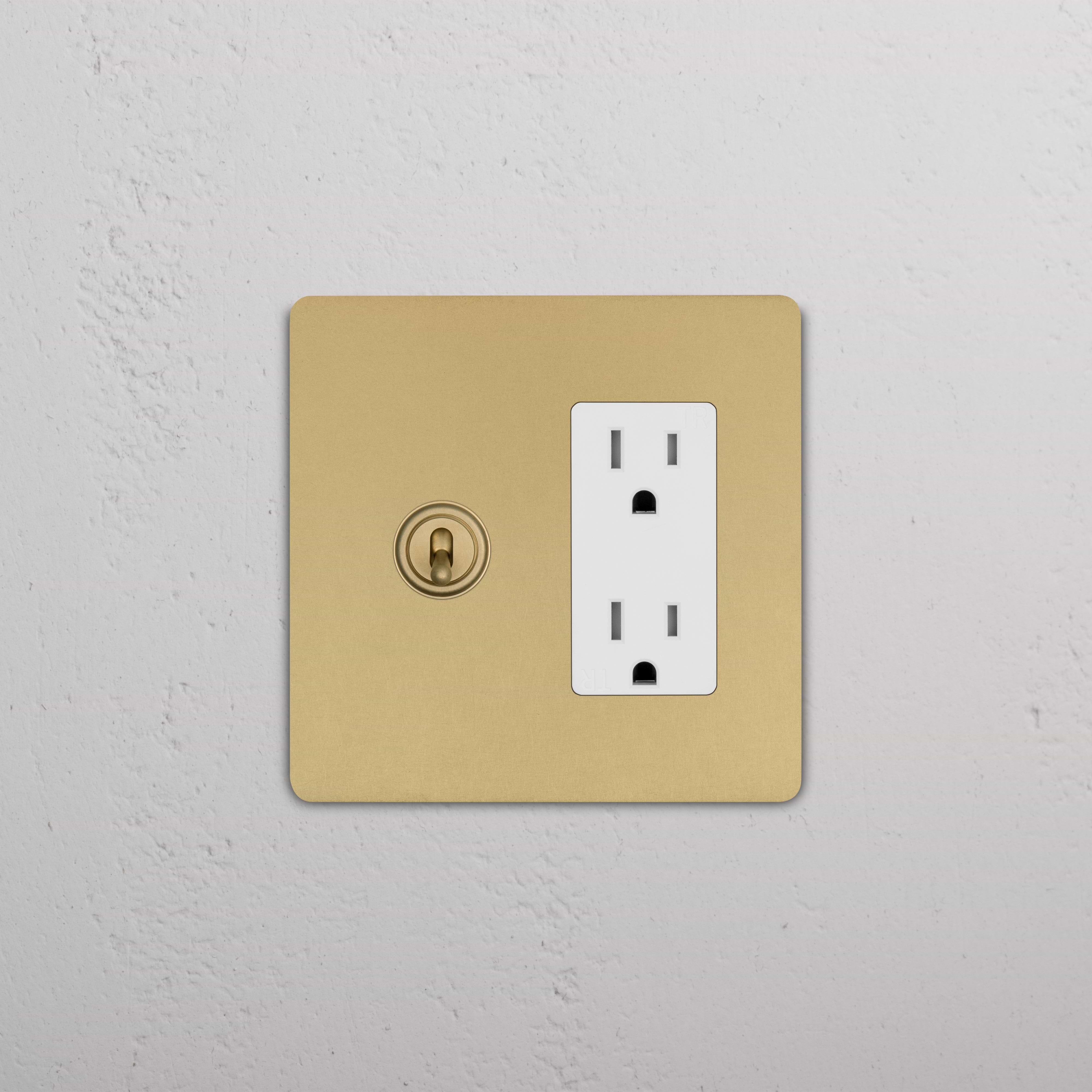 Grove 2G Toggle Switch & Outlet in Antique Brass White; features one toggle switch and one double outlet.