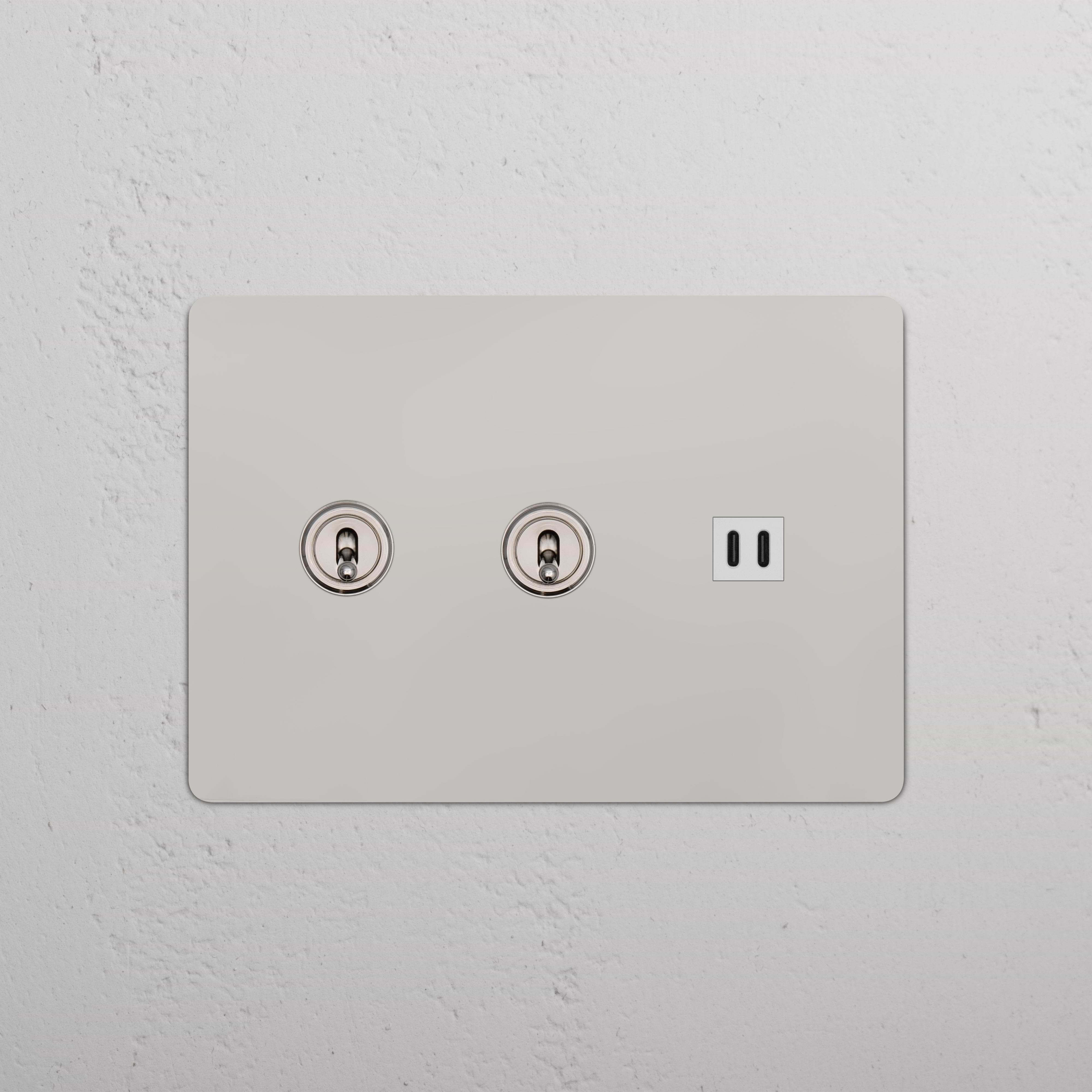 Polished Nickel White Kew 3G wall plate with two toggle switches and a fast charge USB port.
