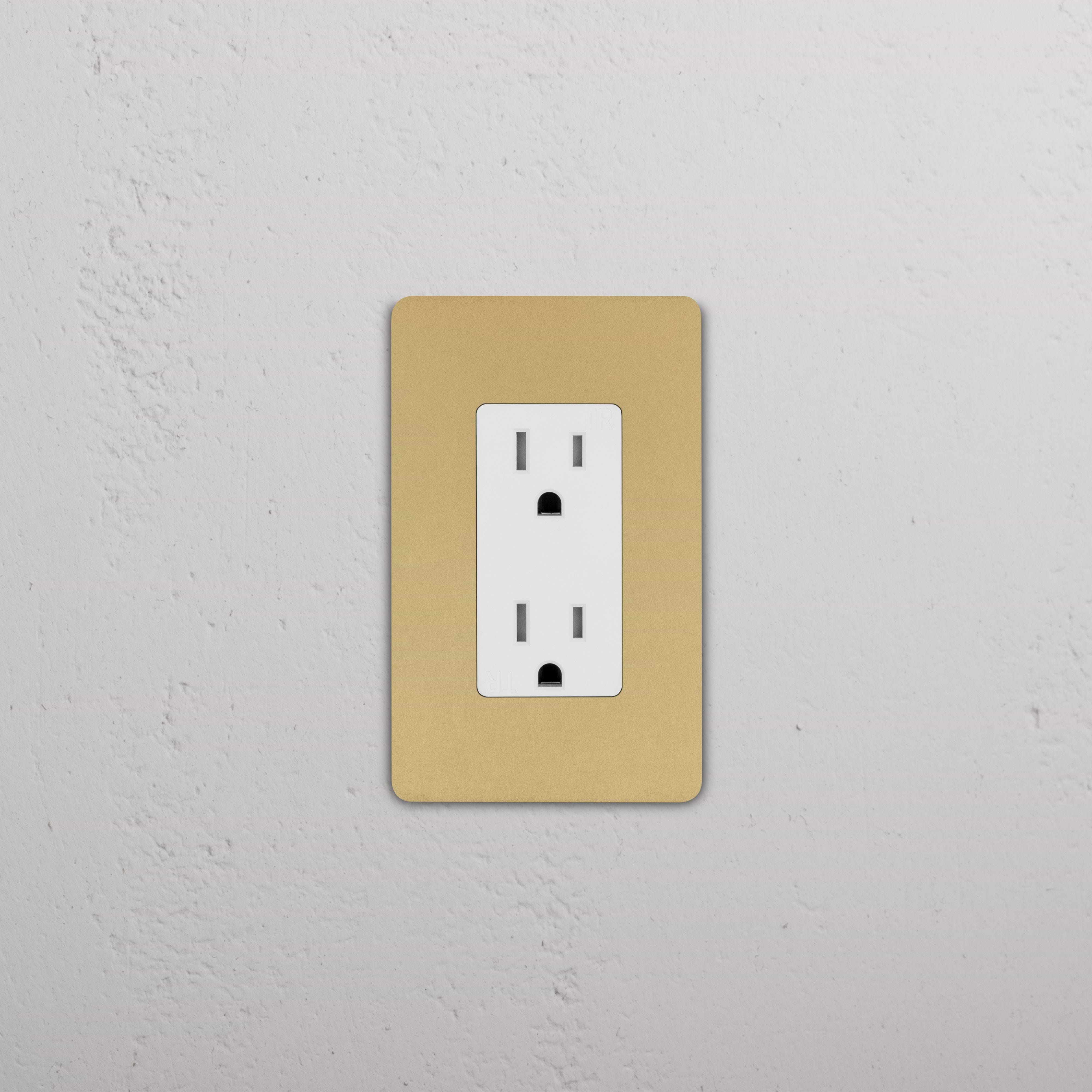 Grove 1G 15A Outlet in Antique Brass White, single socket electrical outlet with classic faceplate.