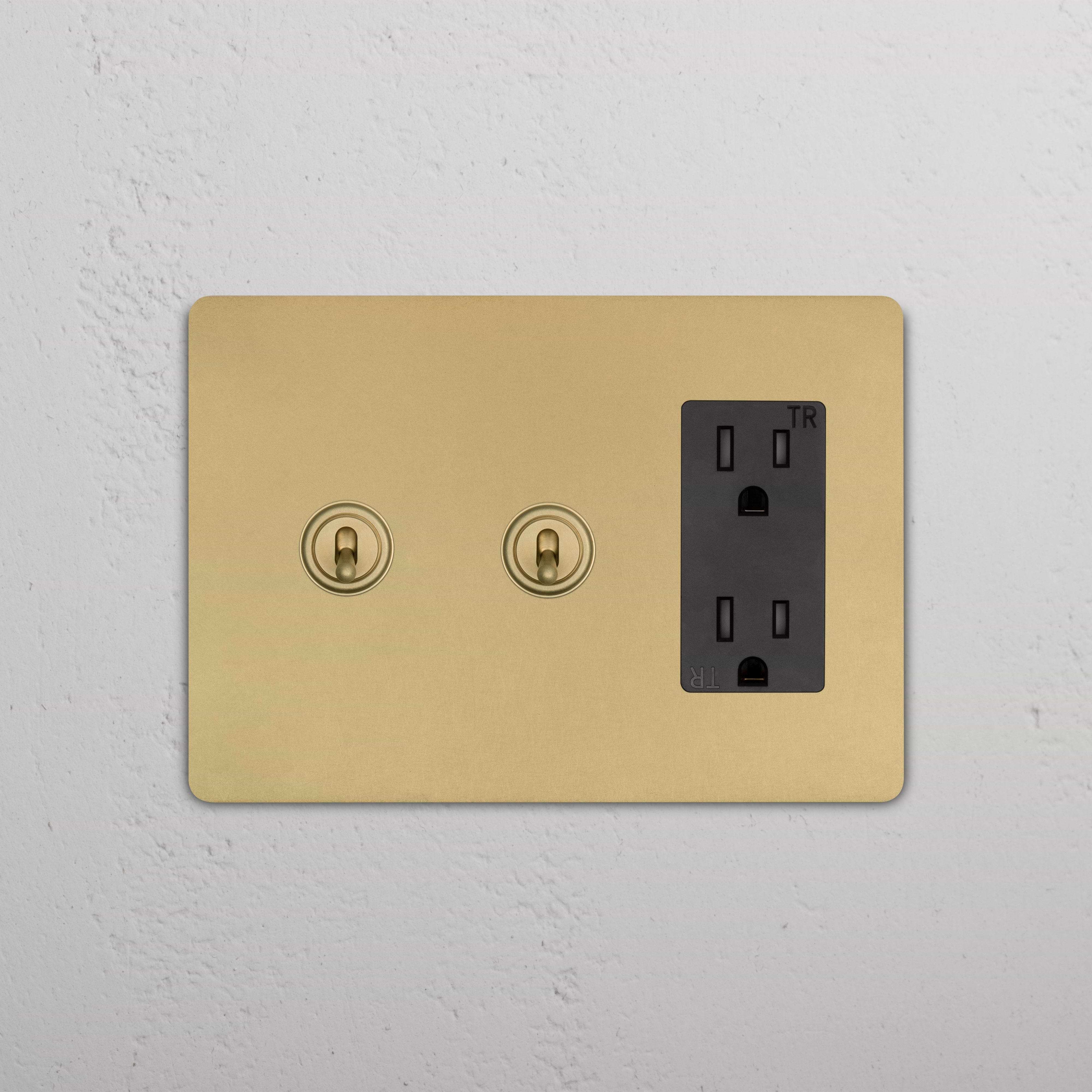 Grove 3G 2x Toggle Switch & Outlet in Antique Brass Black with two toggles and a black power outlet on a wall.