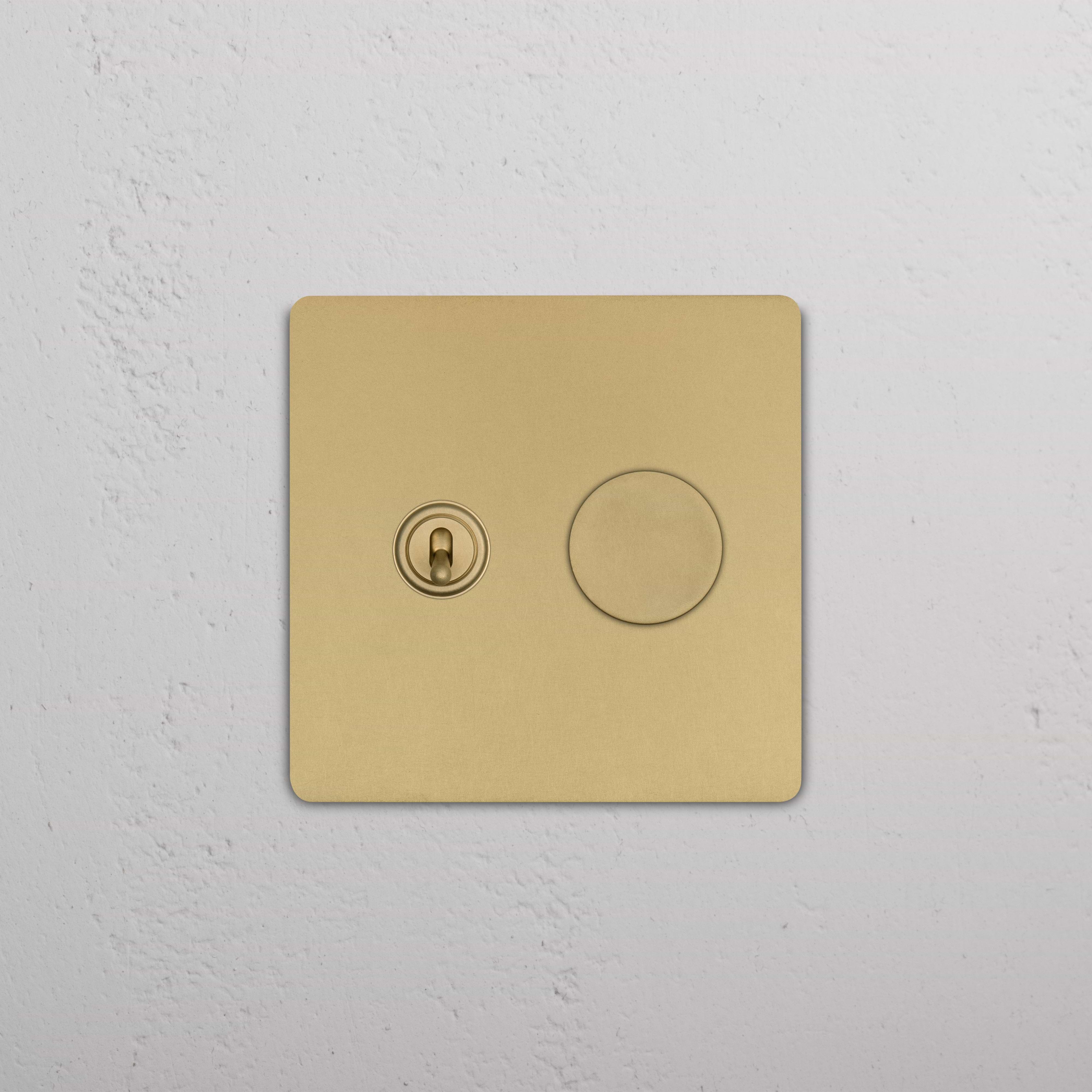 Antique Brass Grove 2G Toggle & Dimmer Switch with one toggle and one dimmer, mounted on white wall.