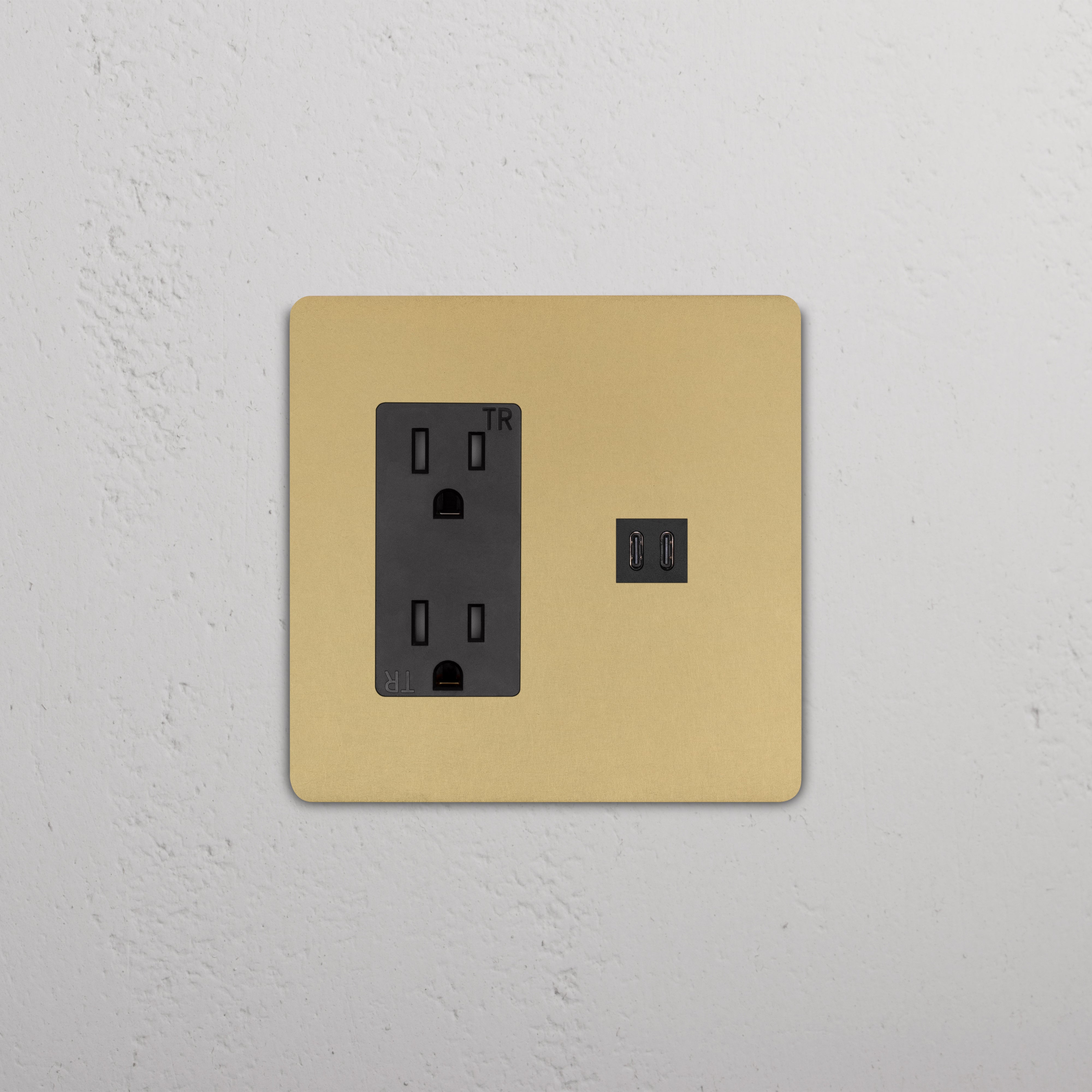 Grove 2G Outlet & Fast Charge USB in Antique Brass Black with two sockets and dual USB ports on gold plate.
