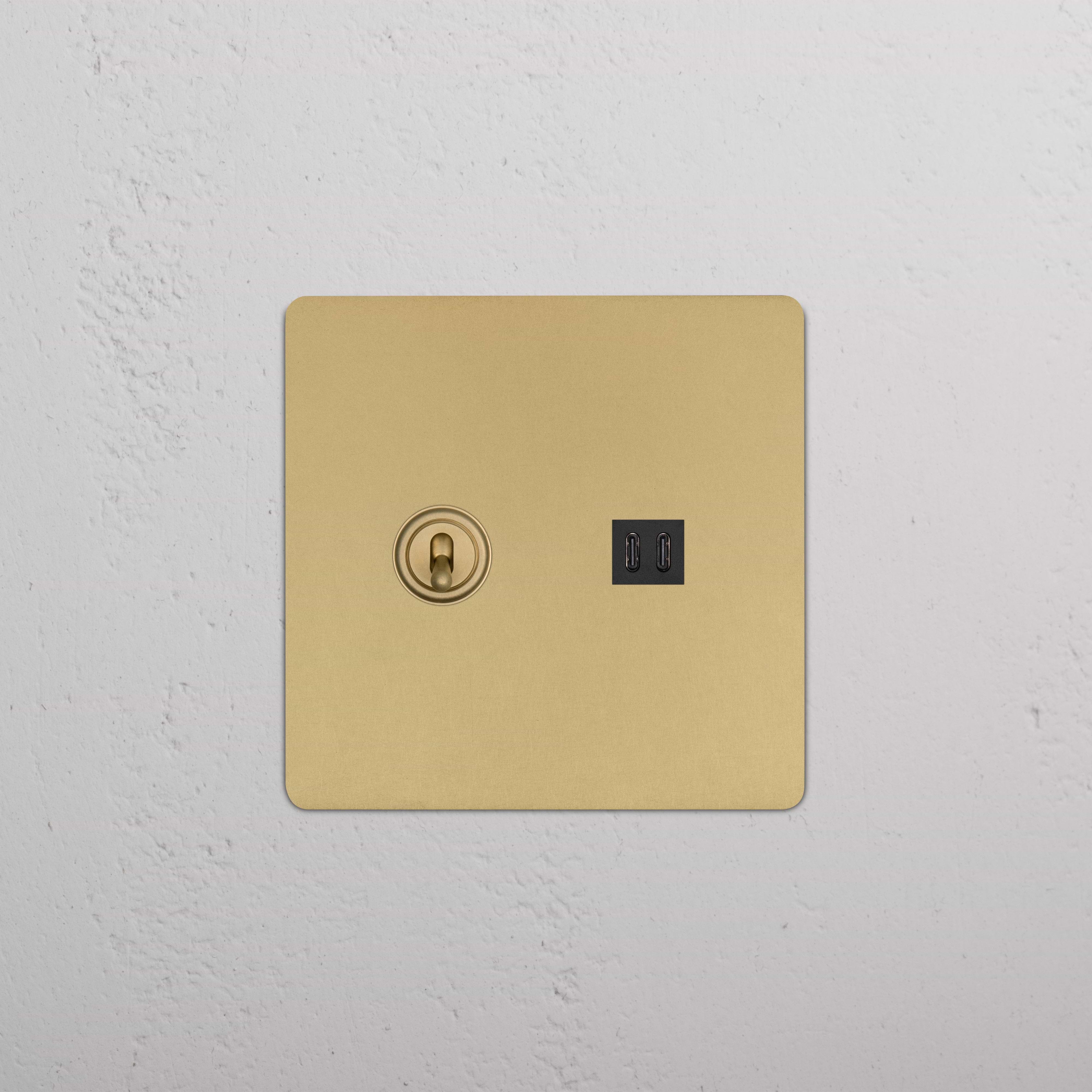 Kew 2G Toggle Switch & Fast Charge USB in Antique Brass Black with gold plate, toggle, and two USB ports.