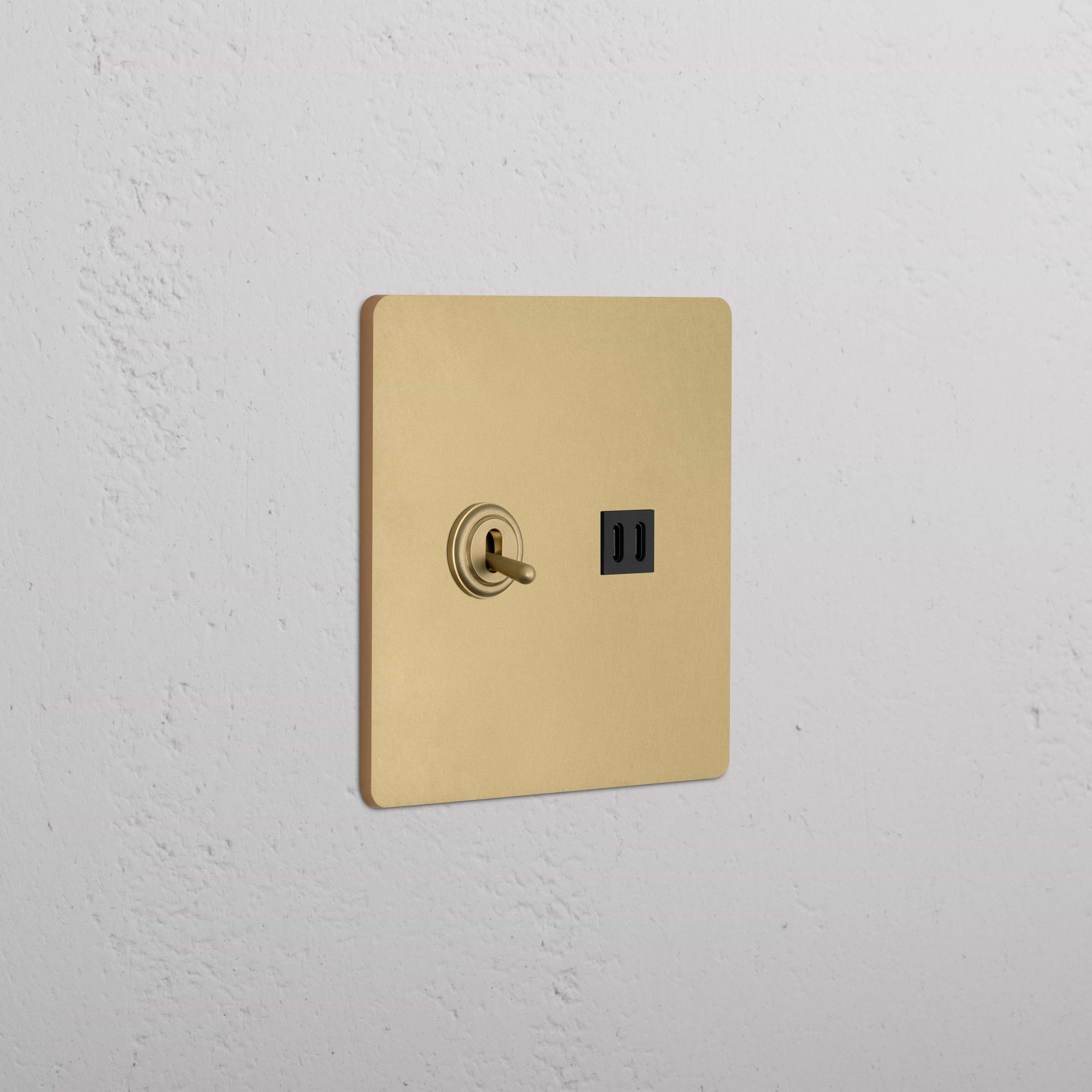 Grove 2G Toggle Switch & Fast Charge USB in Antique Brass Black, featuring two toggles and dual USB ports.