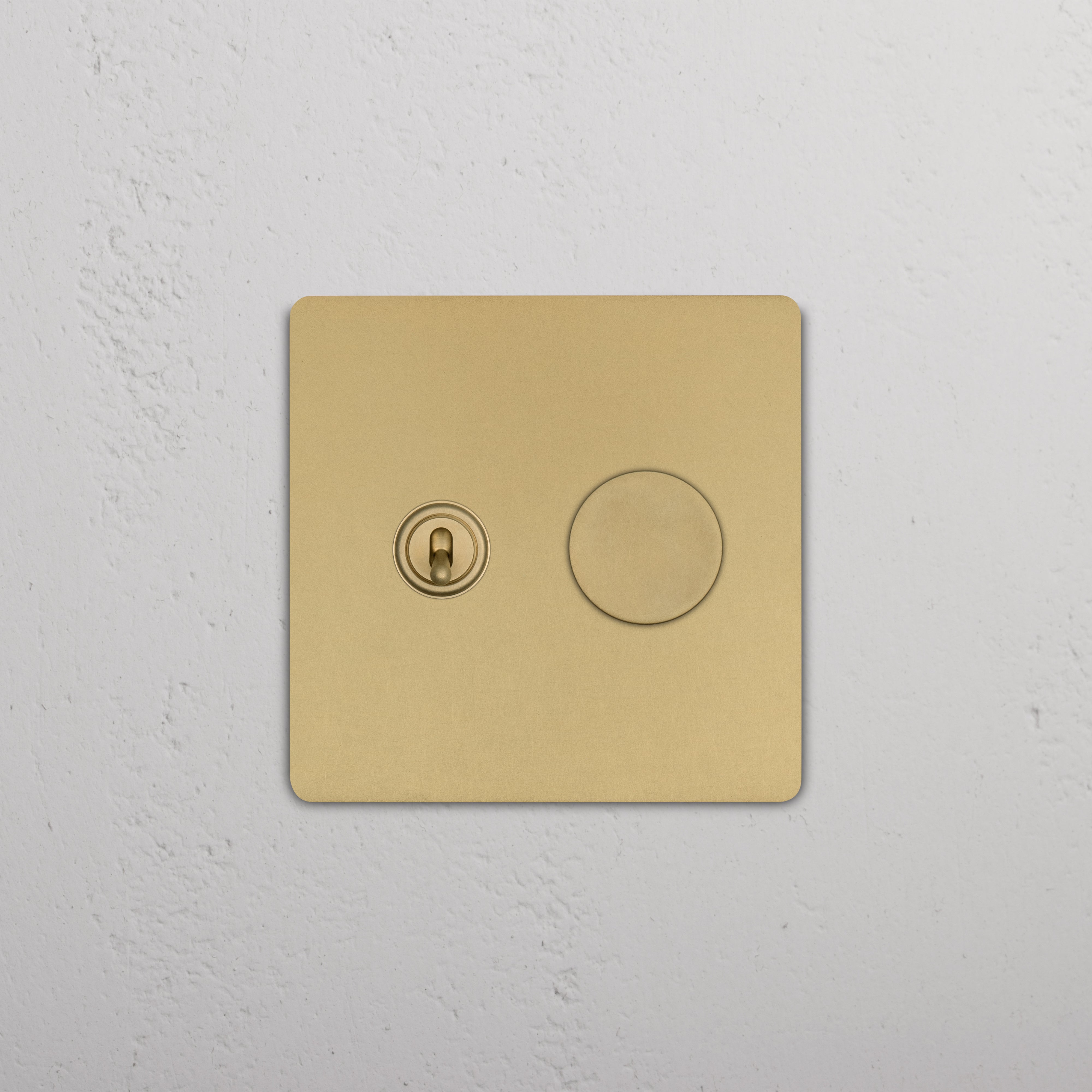 Antique Brass Grove 2G Toggle & Dimmer Switch with one toggle and one dimmer, mounted on white wall.