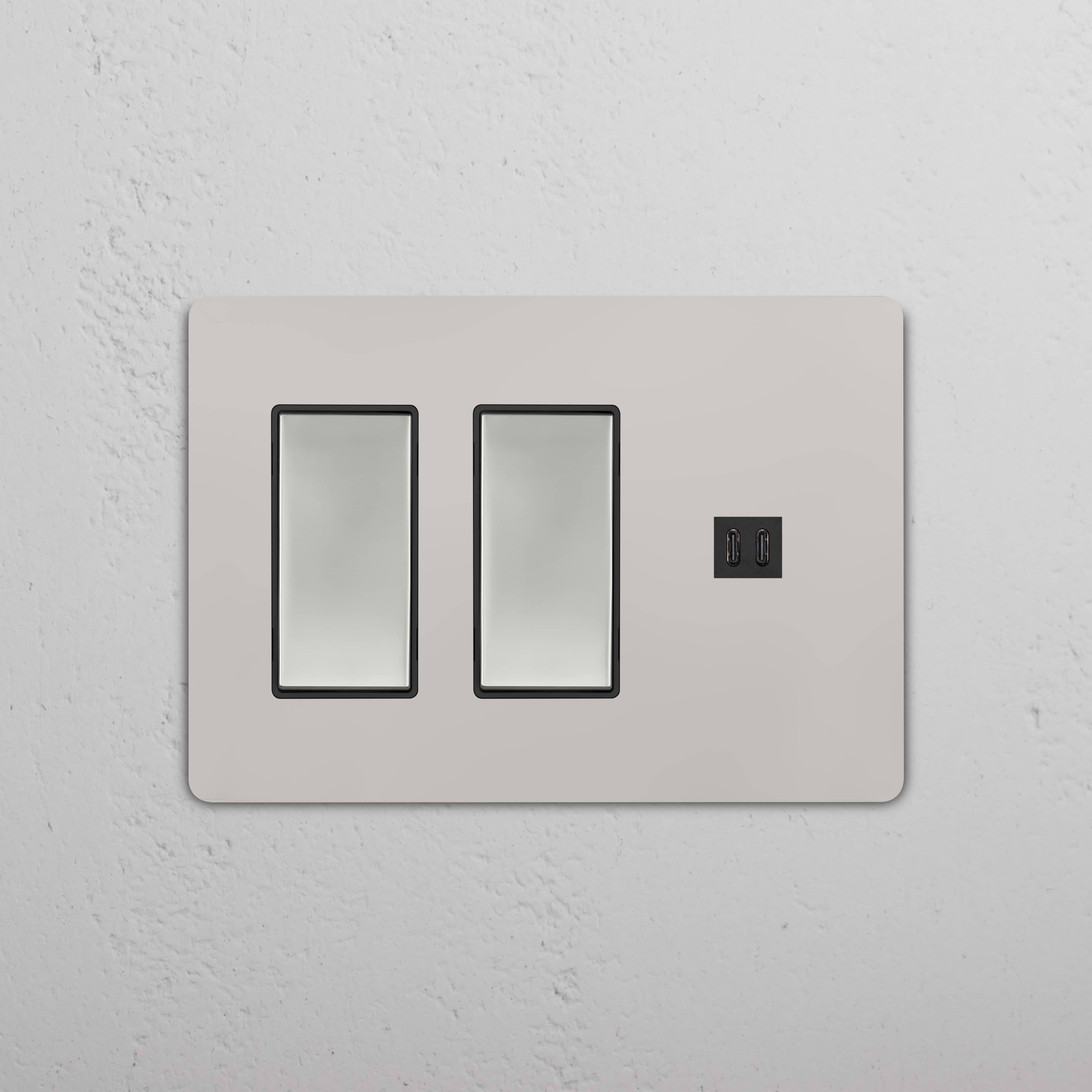 Grove 3G 2x Rocker Switch & Fast Charge USB in polished nickel black with two switches and a USB port.