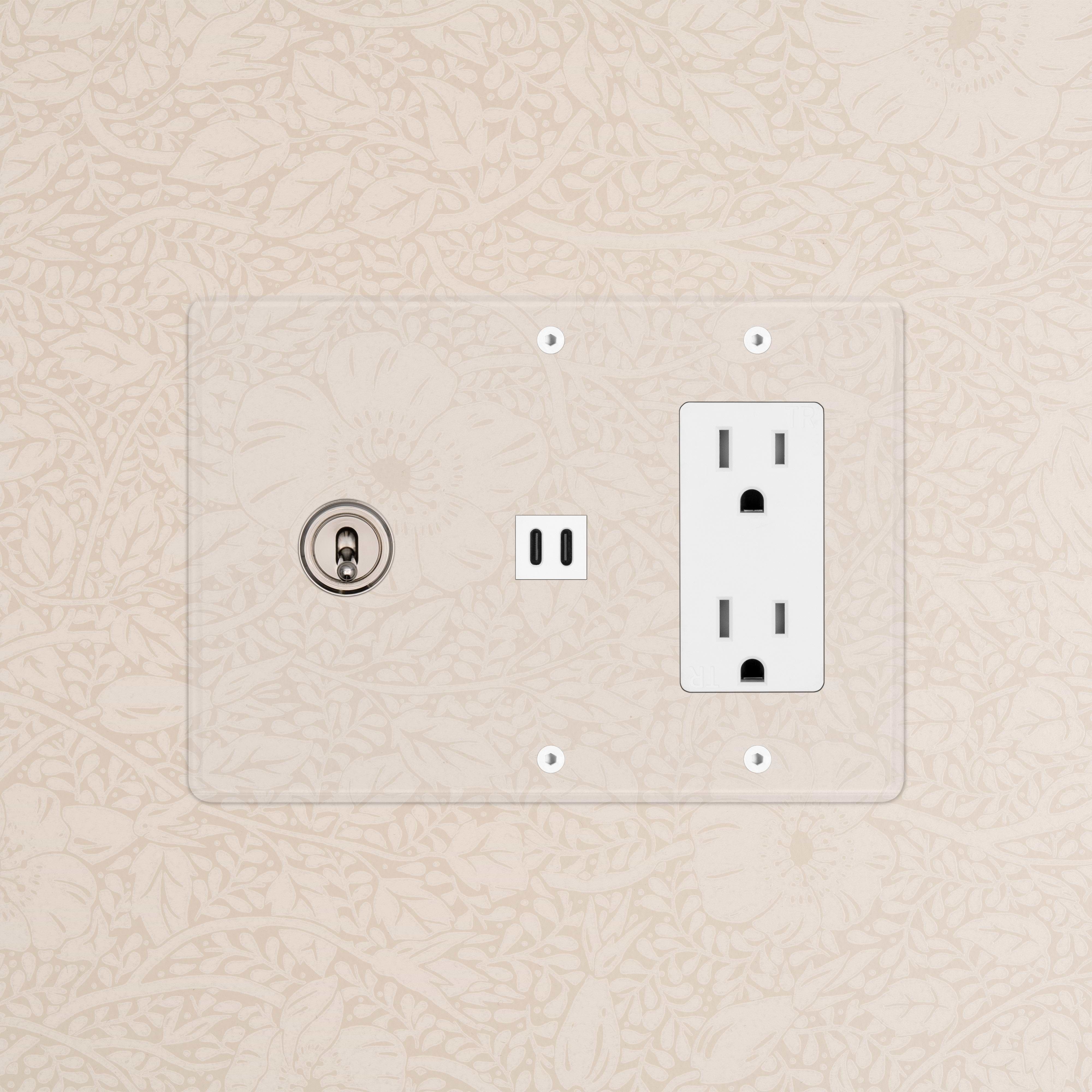 Kew 3G Toggle Switch, outlet, and fast charge USB on a clear polished nickel white plate.
