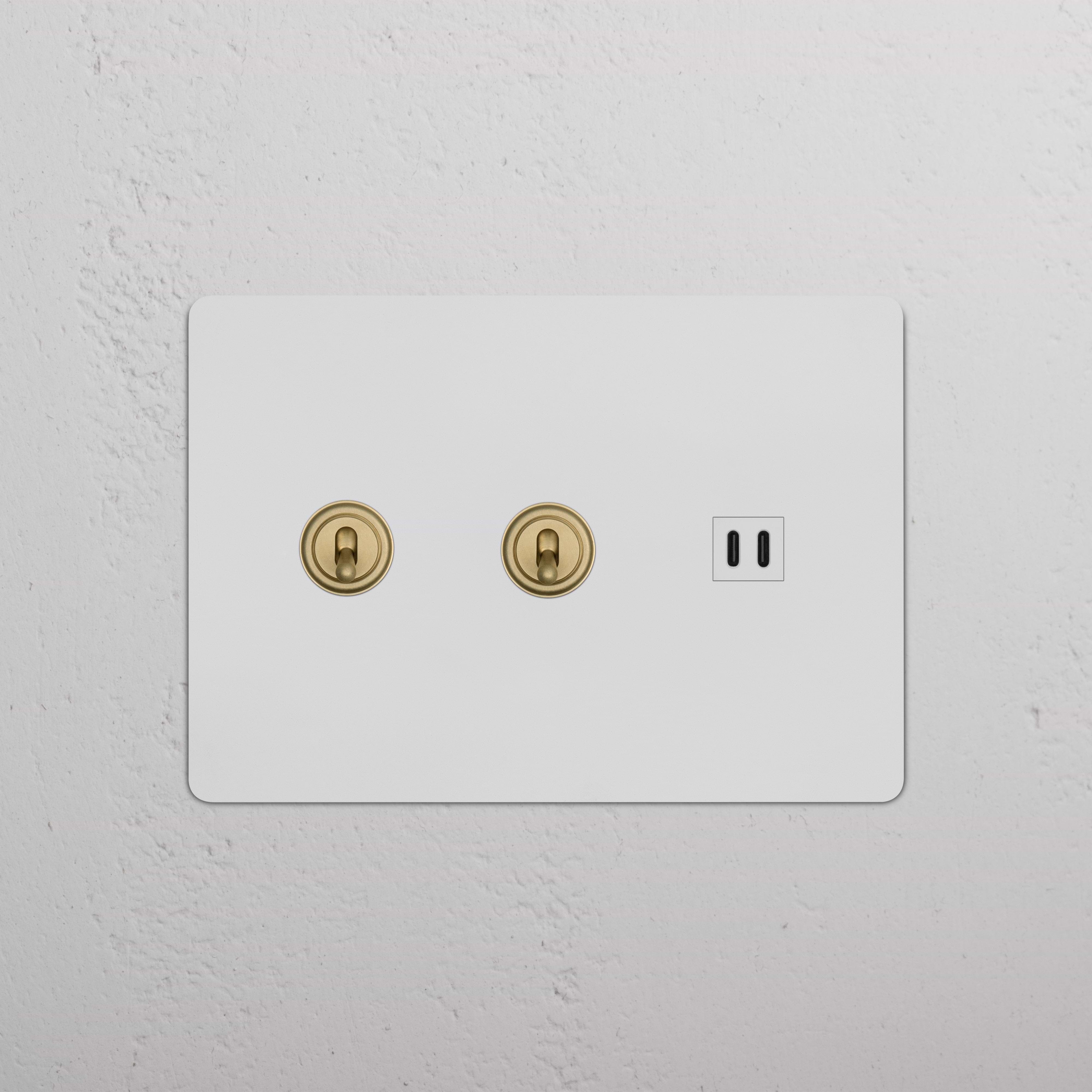 Kew 3G 2x Toggle Switch & Fast Charge USB in paintable antique brass with white finish on a wall plate.