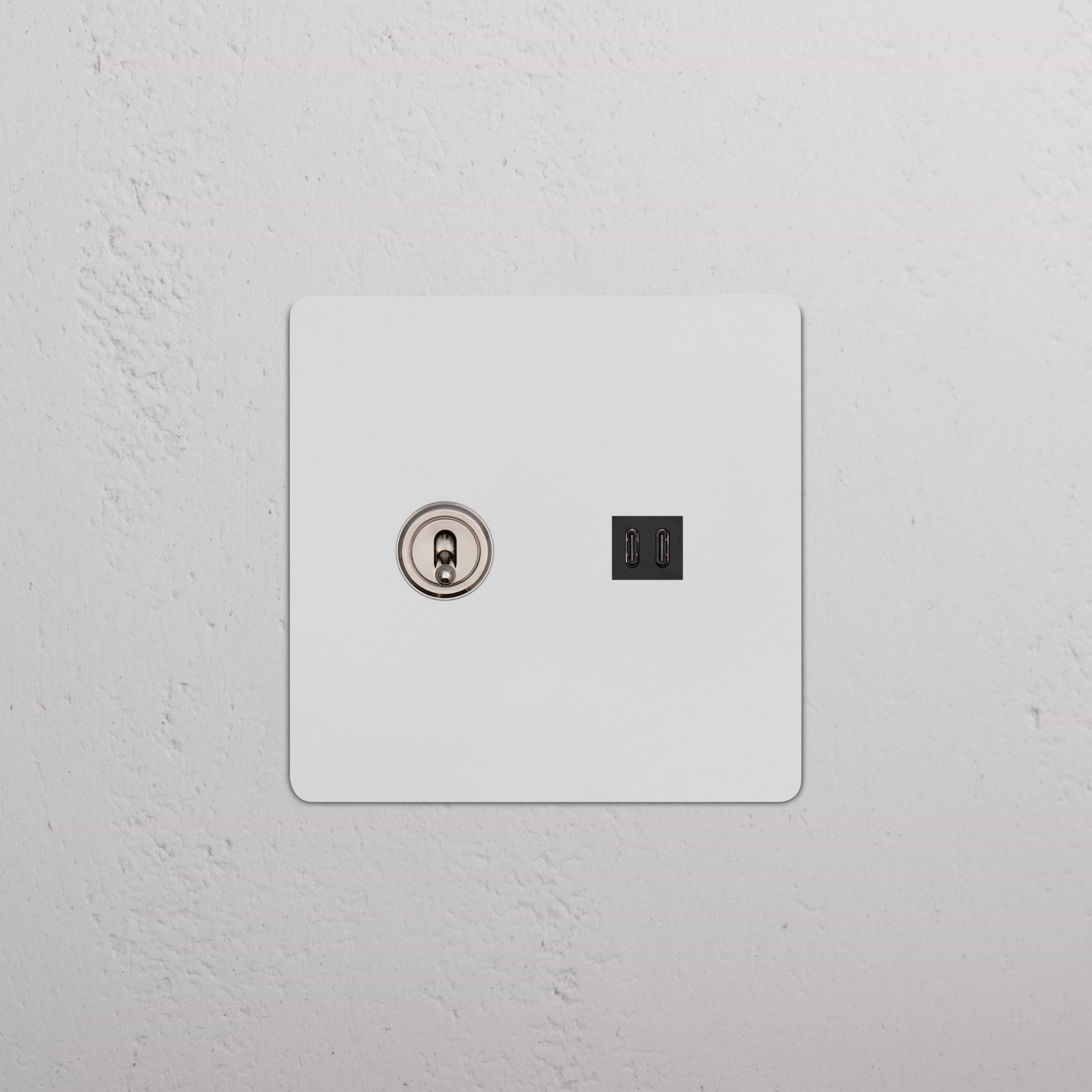 Kew 2G Toggle Switch & Fast Charge USB in paintable polished nickel black finish, shown wall-mounted.