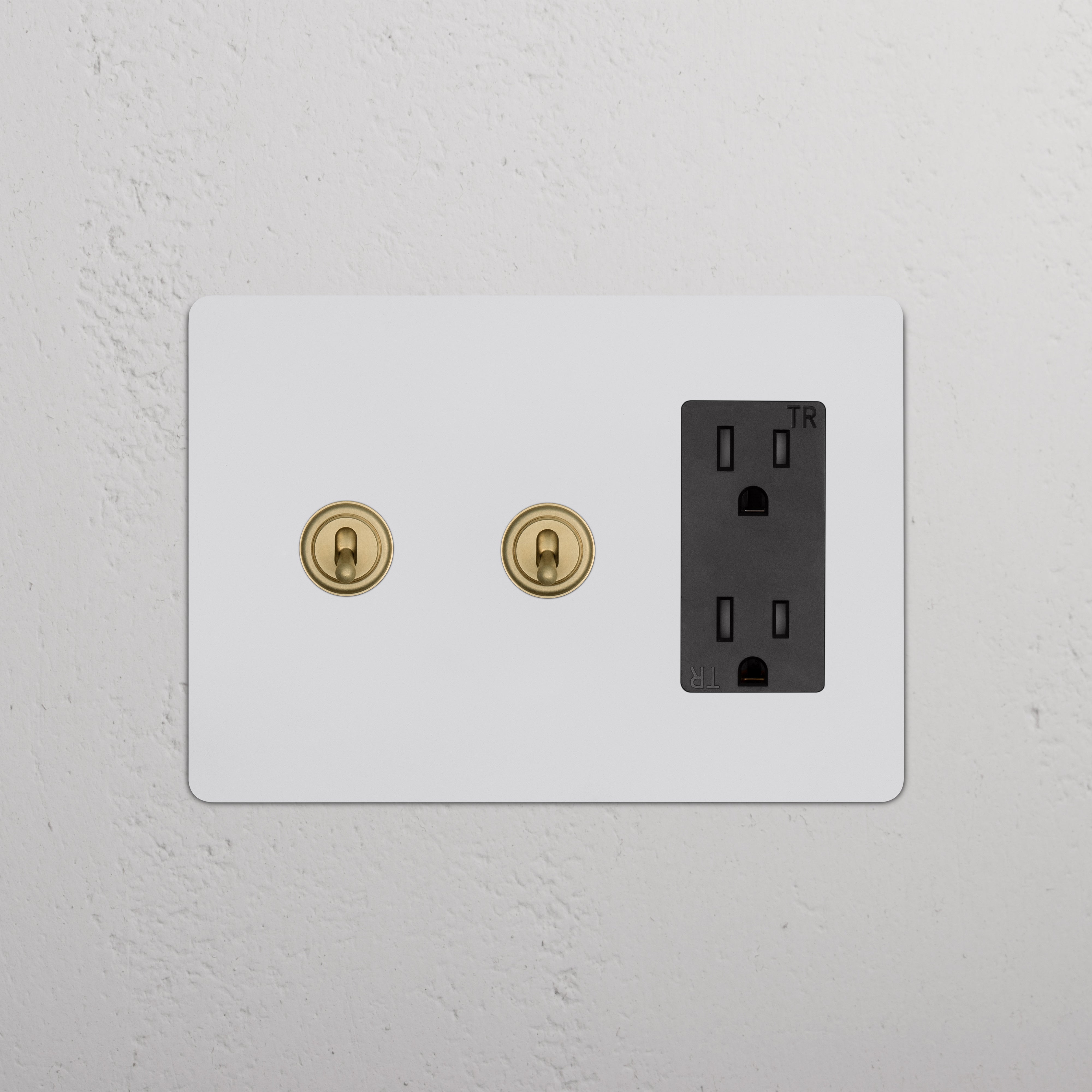 Kew 3G 2x Toggle Switch & Outlet in paintable antique brass black with two toggles and a black outlet.