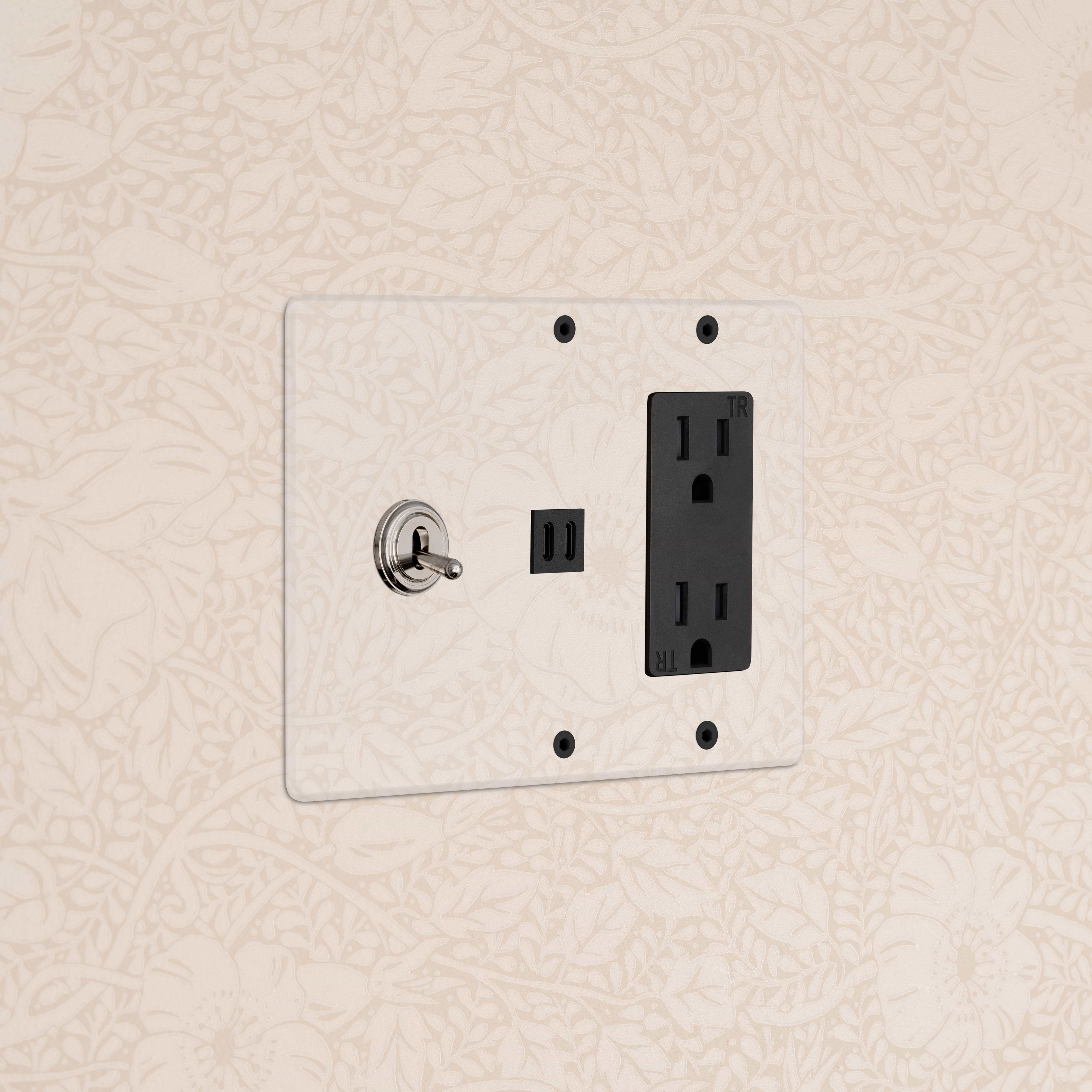 Kew 3G Toggle Switch, Outlet, and Fast Charge USB in Clear Polished Nickel Black on beige floral wallpaper.
