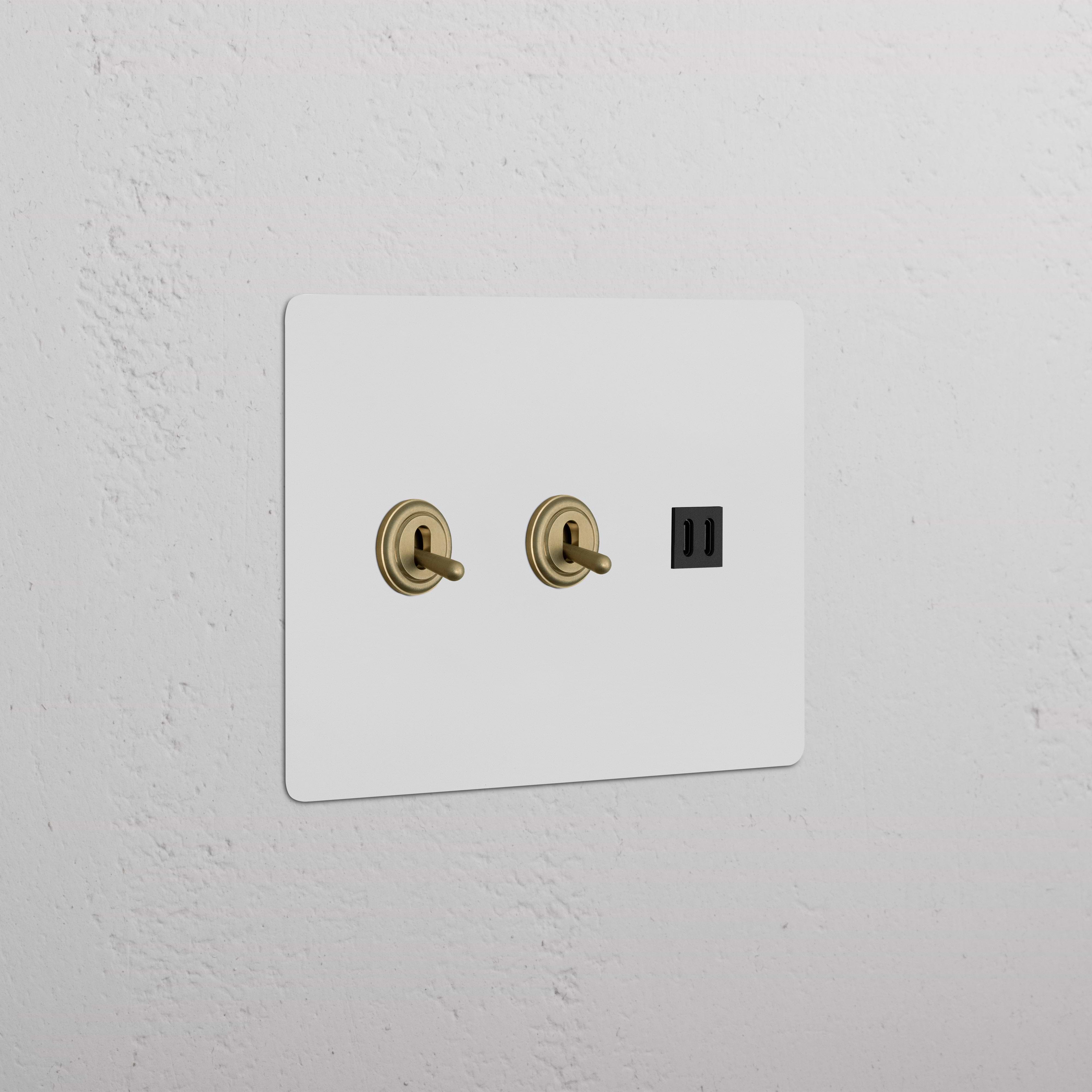 Kew 3G 2x Toggle Switch & Fast Charge USB in paintable antique brass black finish, wall-mounted plate.