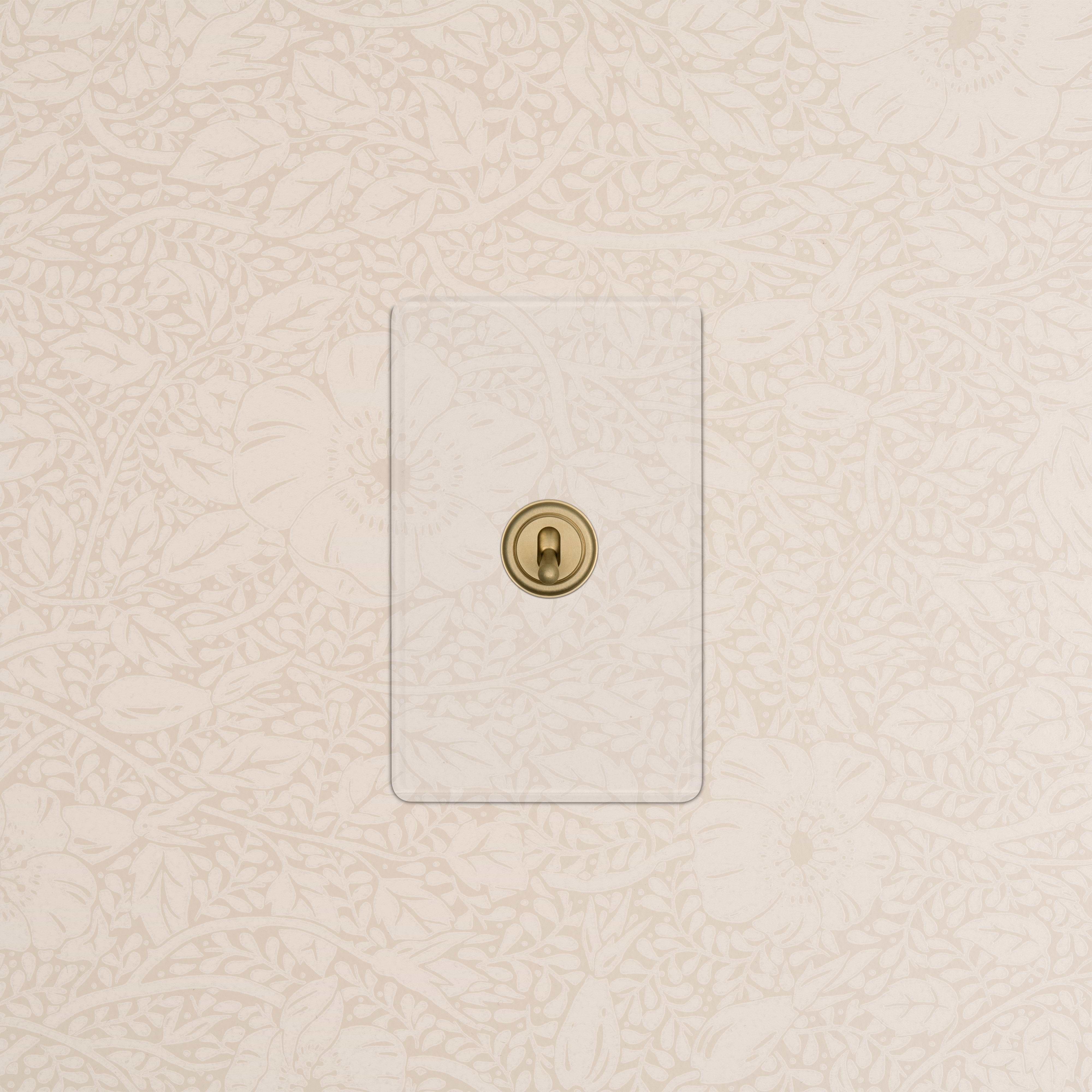 Kew 1G Retractive Toggle Switch in clear antique brass with a clear plate on cream floral wallpaper.