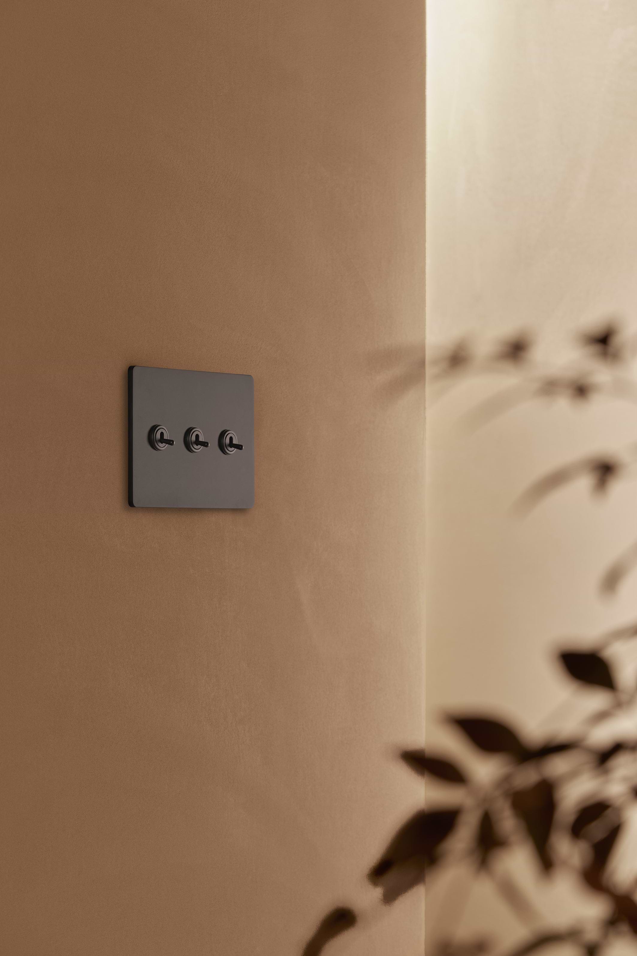 Grove 3G Toggle Switch in bronze finish mounted on a tan wall, with blurred plant in the foreground.