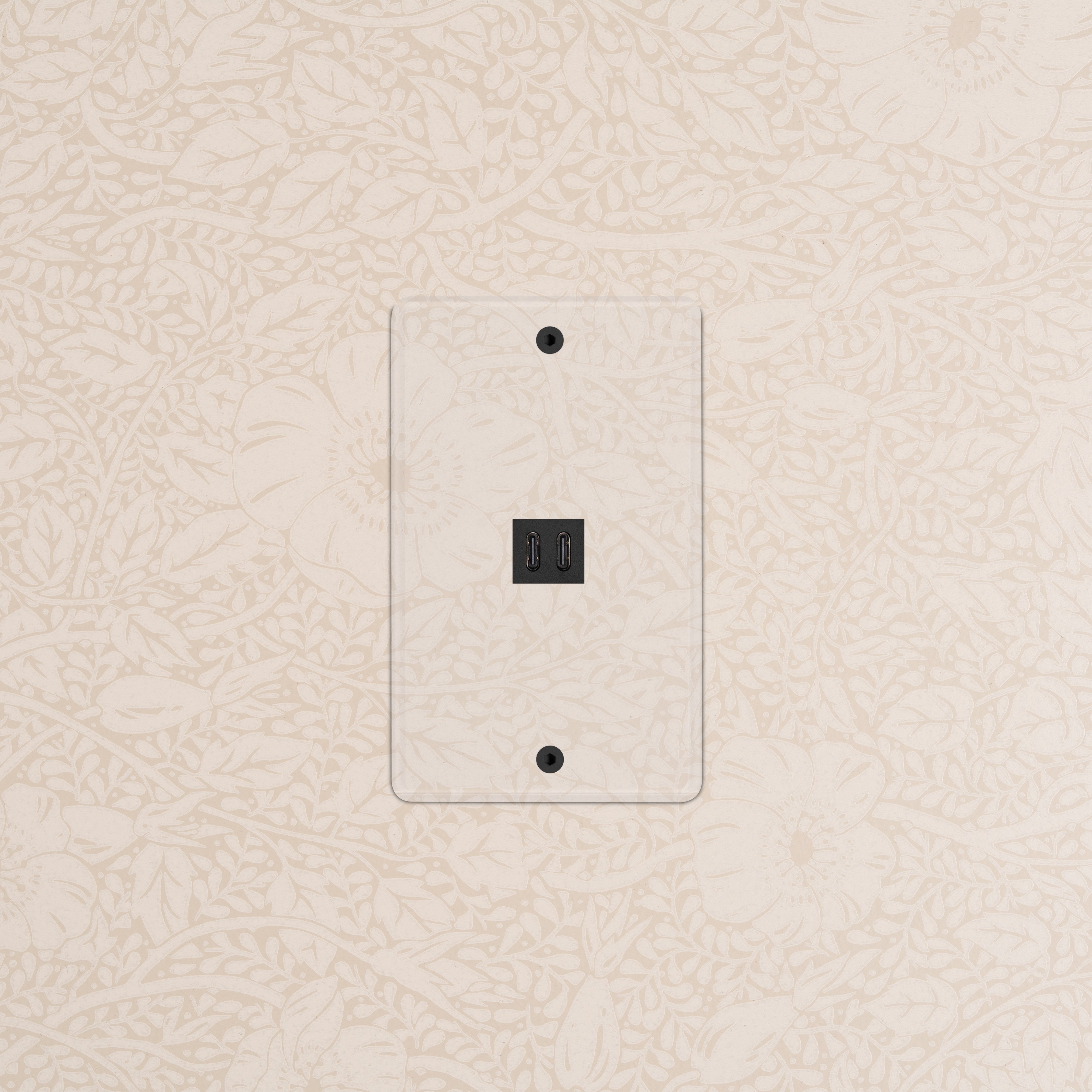 Kew 1G Fast Charge 45W USB Keystone in Clear Black finish, single-port USB wall charger on floral wallpaper.