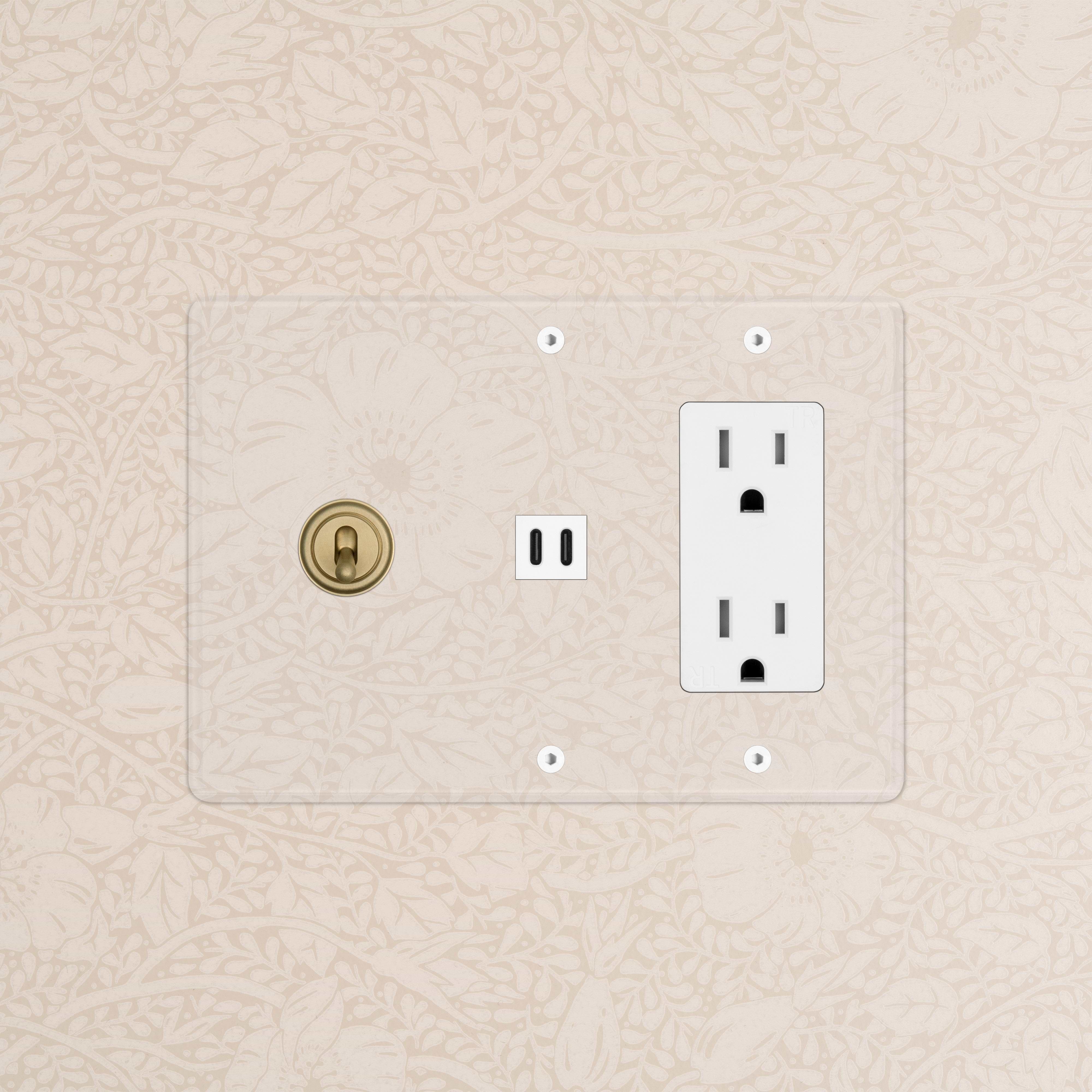 Kew 3G Toggle Switch, Outlet, and Fast Charge USB in Clear Antique Brass with white switches and sockets.
