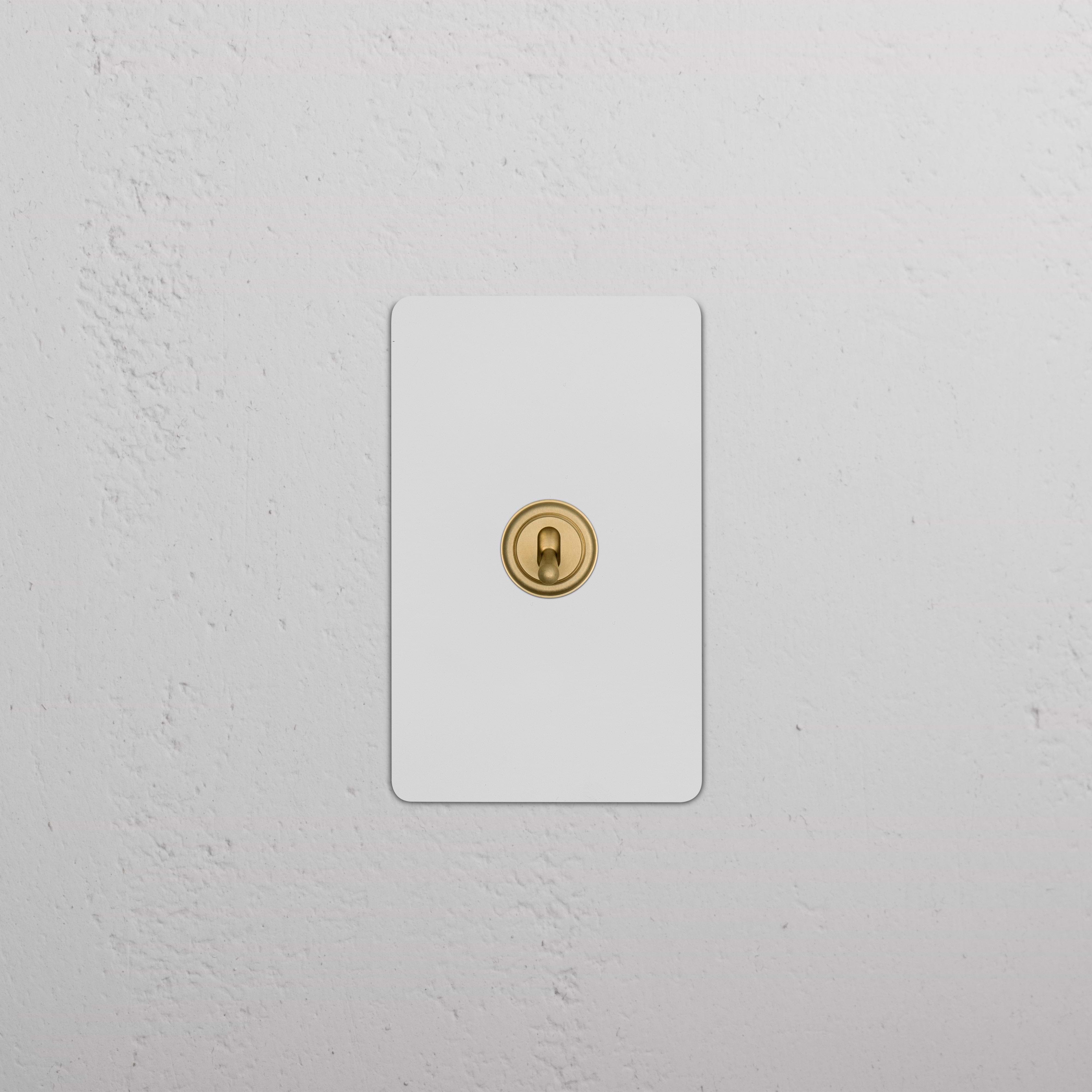 Kew 1G Double Pole Toggle Switch in paintable antique brass on a rectangular wall plate.